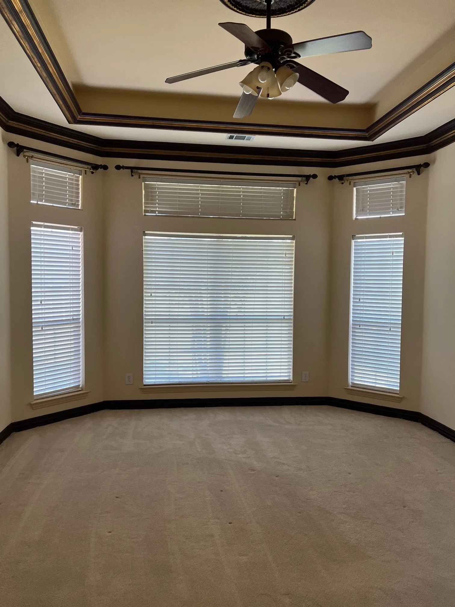Spare room with light carpet, ornamental molding, a tray ceiling, and ceiling fan