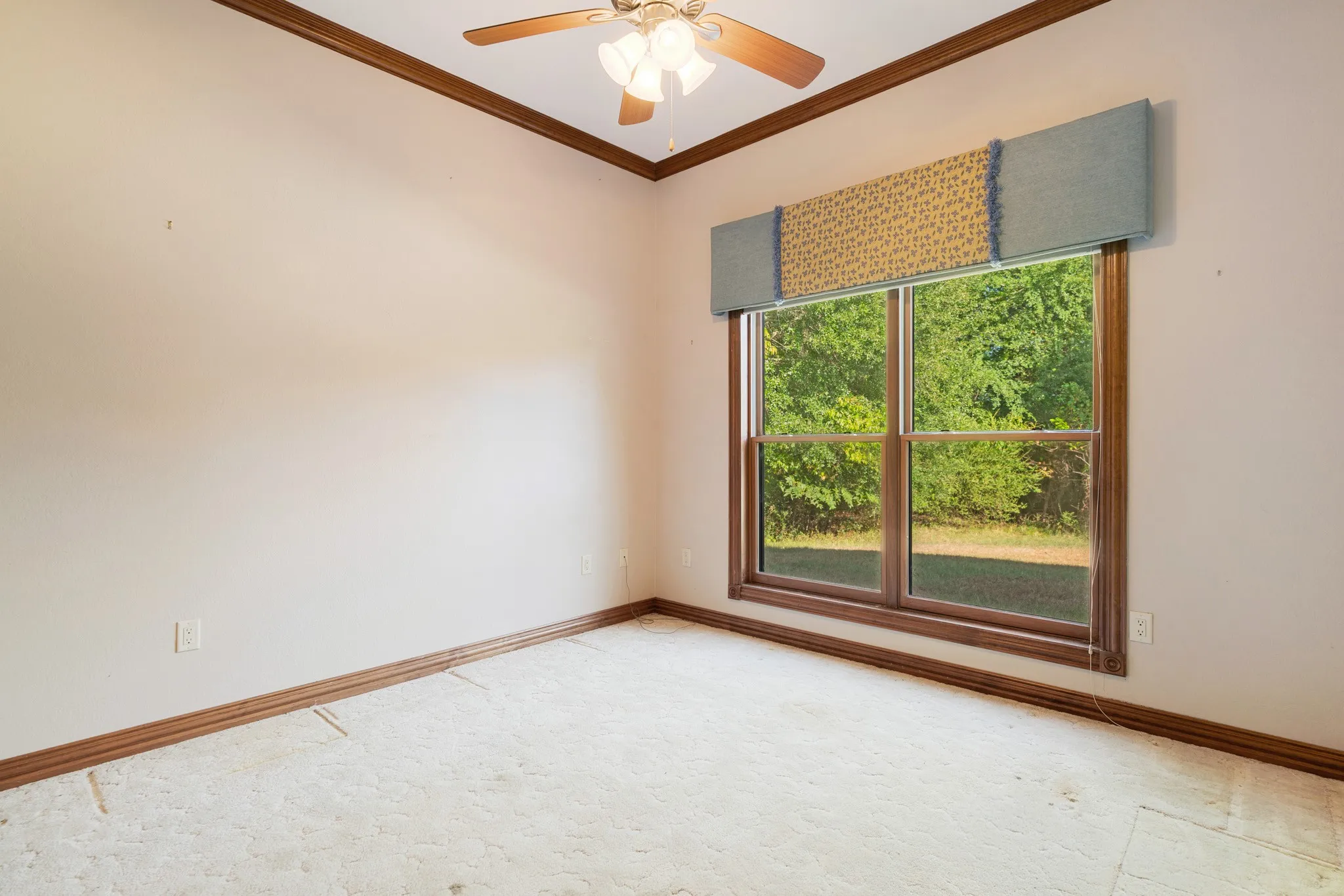 Back Bedroom