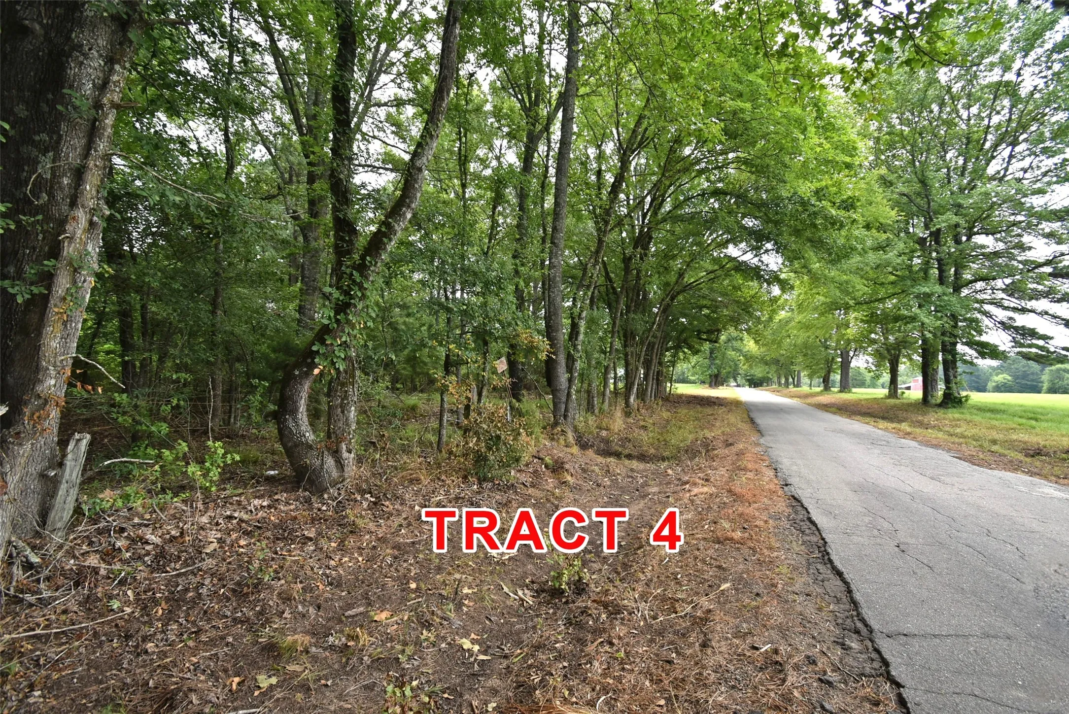 Unimproved Land For Sale in Red River (TX) County , Tract 4 County Road 3117, Clarksville, Texas 75426, 0, 0, Garage spaces, 0 Sqft, built in 0, Price $65,000, mls#21331849, Real Estate Agent in Clarksville, Homes For Sale in Red River (TX) county, Homes For Sale in Clarksville, Realtor in Clarksville Texas, Real Estate Brokerage Independent Realty Texas, Luminita Cordes Realtor