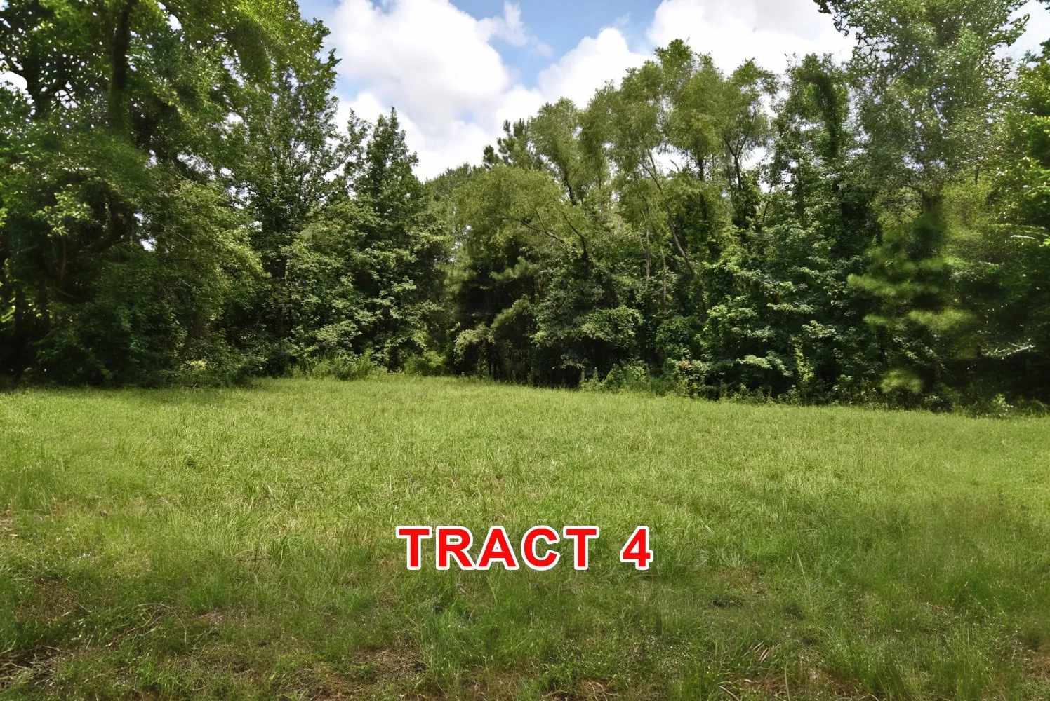 Unimproved Land For Sale in Red River (TX) County , Tract 4 County Road 3117, Clarksville, Texas 75426, 0, 0, Garage spaces, 0 Sqft, built in 0, Price $65,000, mls#21331849, Real Estate Agent in Clarksville, Homes For Sale in Red River (TX) county, Homes For Sale in Clarksville, Realtor in Clarksville Texas, Real Estate Brokerage Independent Realty Texas, Luminita Cordes Realtor