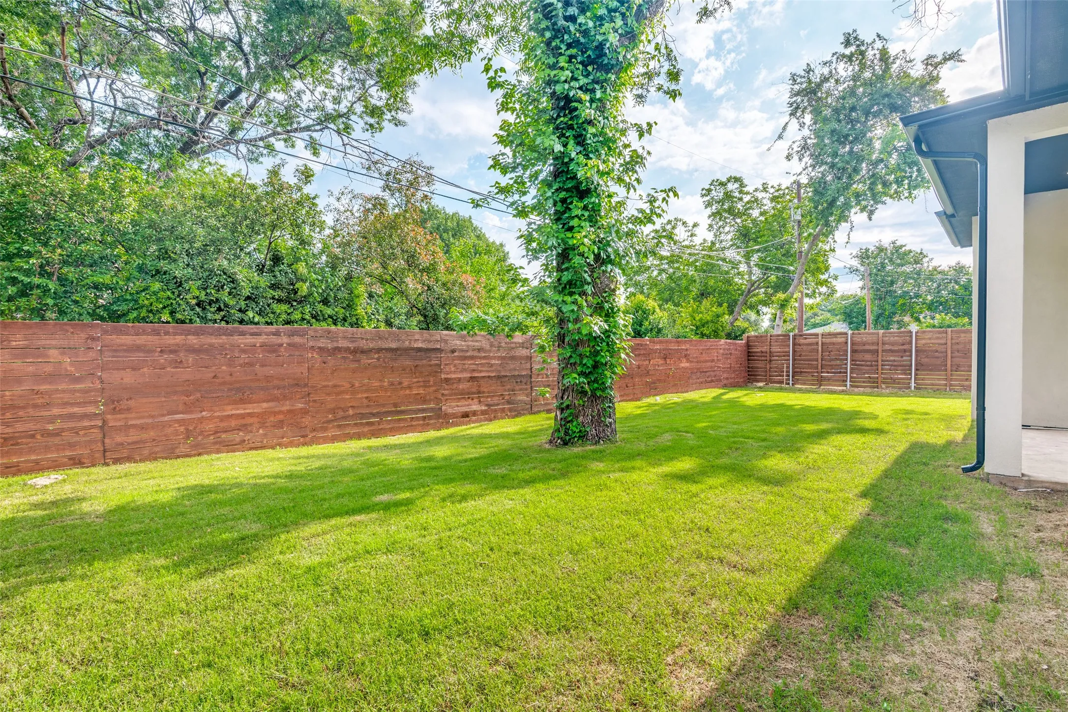 Yard