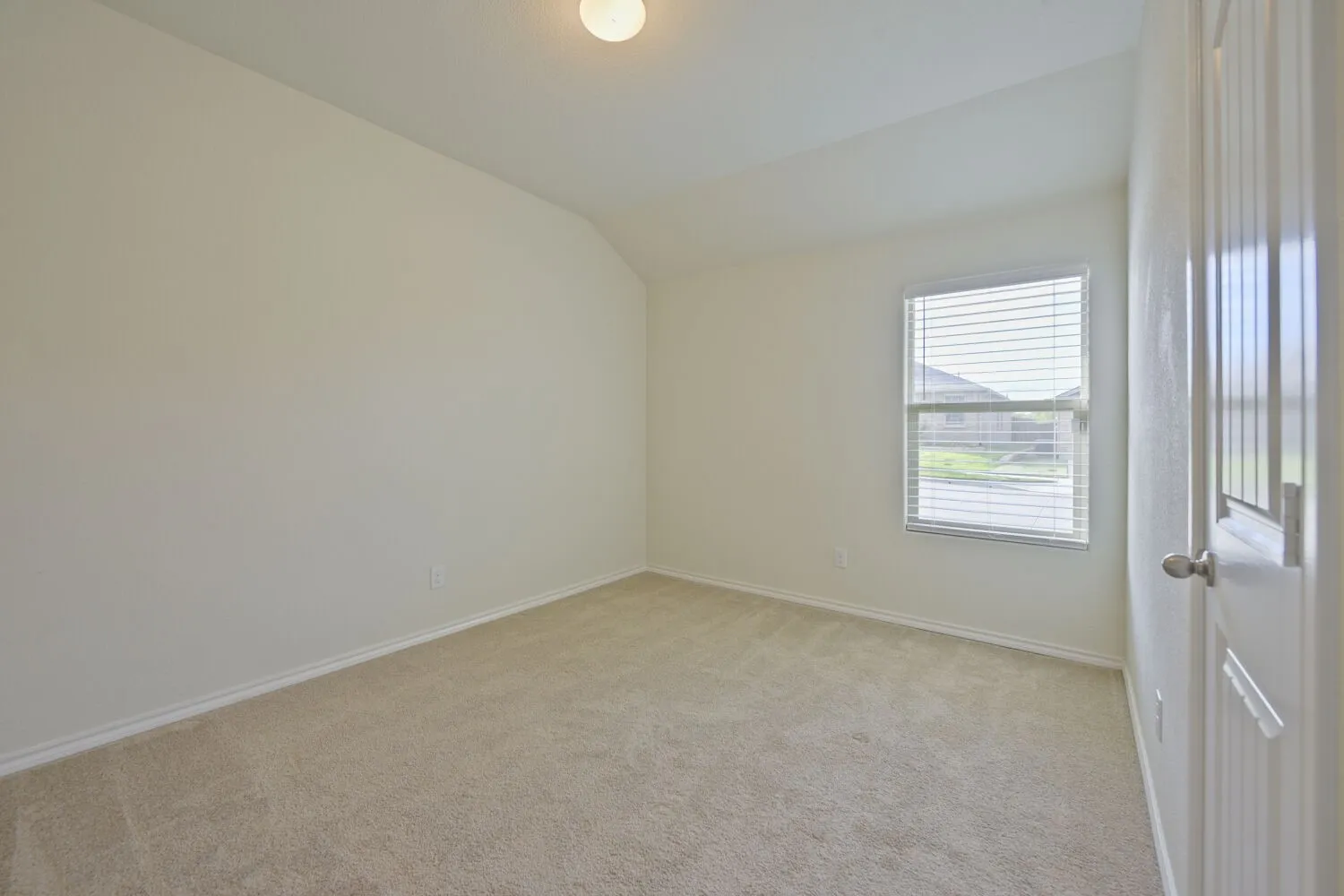 Carpeted room featuring a single window with horizontal blinds, a white paneled door, and a flush-mount ceiling light fixture