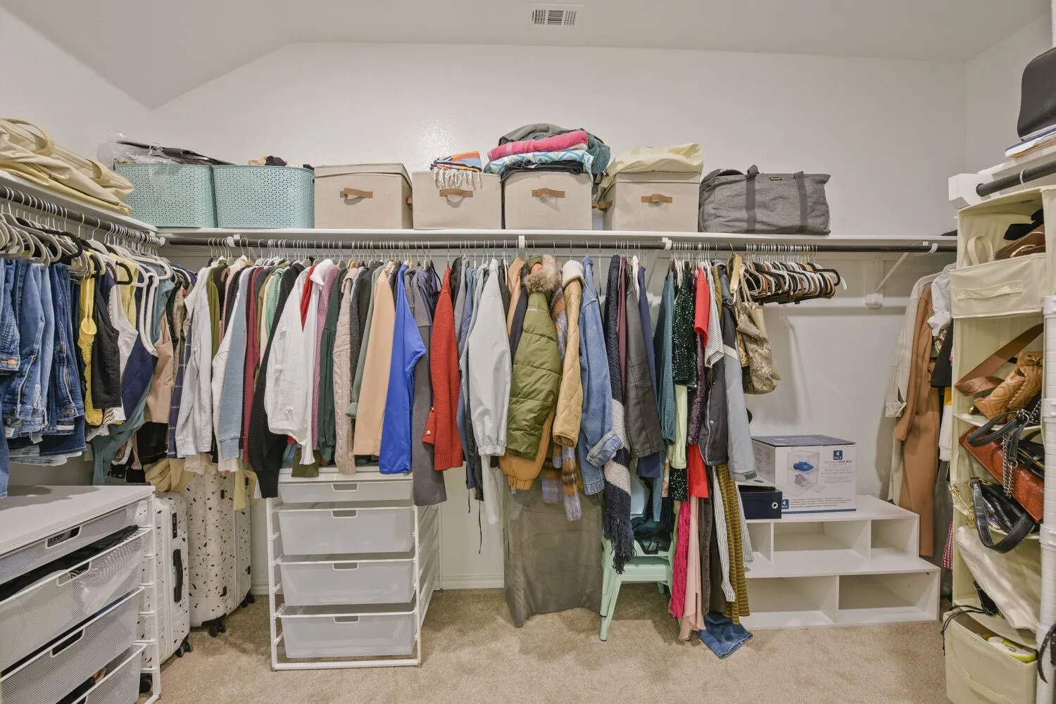 Spacious walk-in closet featuring built-in shelving, multiple hanging rods, and plush carpet flooring
