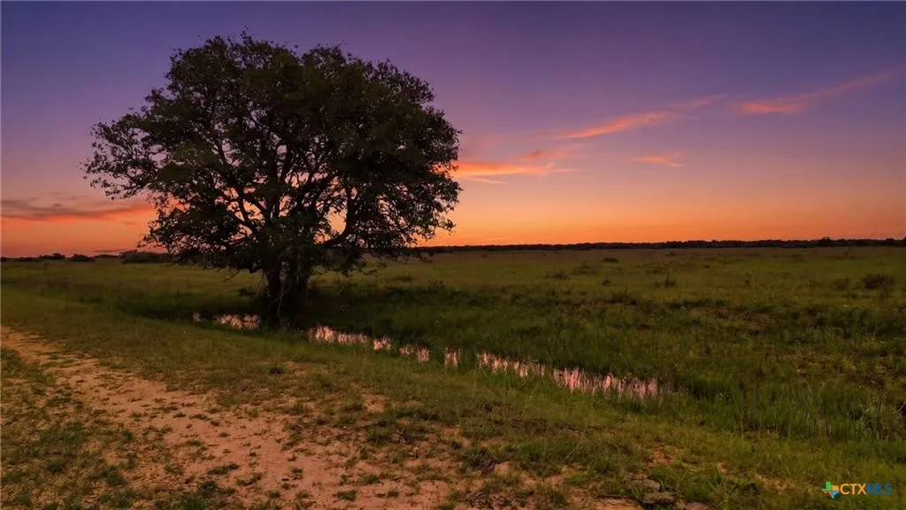 Ranch For Sale in Lavaca County , TBD Fm 530, Hallettsville, Texas 77964, 0, 0, Garage spaces, 0 Sqft, built in 0, Price $2,900,000, mls#21330842, Real Estate Agent in Hallettsville, Homes For Sale in Lavaca county, Homes For Sale in Hallettsville, Realtor in Hallettsville Texas, Real Estate Brokerage Independent Realty Texas, Luminita Cordes Realtor