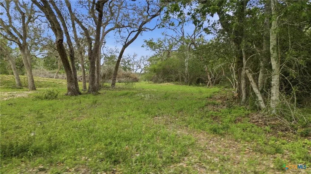Ranch For Sale in Lavaca County , TBD Fm 530, Hallettsville, Texas 77964, 0, 0, Garage spaces, 0 Sqft, built in 0, Price $2,900,000, mls#21330842, Real Estate Agent in Hallettsville, Homes For Sale in Lavaca county, Homes For Sale in Hallettsville, Realtor in Hallettsville Texas, Real Estate Brokerage Independent Realty Texas, Luminita Cordes Realtor