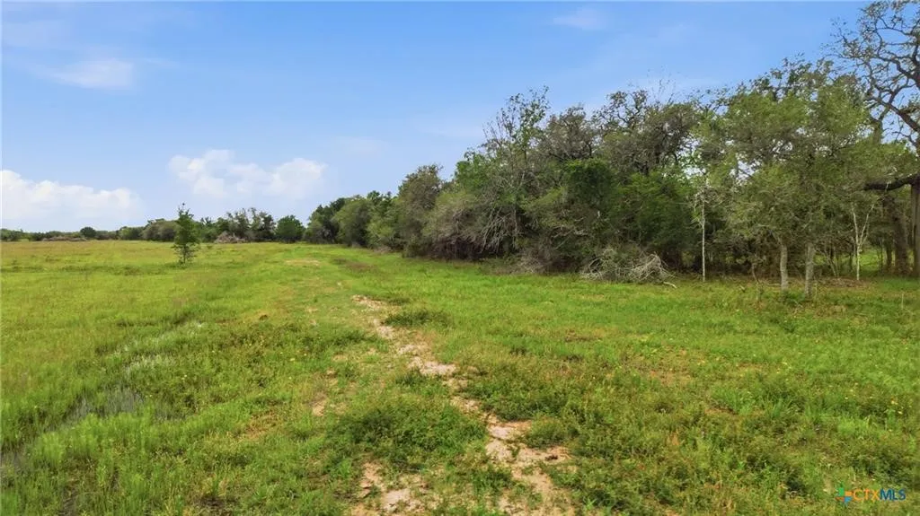Ranch For Sale in Lavaca County , TBD Fm 530, Hallettsville, Texas 77964, 0, 0, Garage spaces, 0 Sqft, built in 0, Price $2,900,000, mls#21330842, Real Estate Agent in Hallettsville, Homes For Sale in Lavaca county, Homes For Sale in Hallettsville, Realtor in Hallettsville Texas, Real Estate Brokerage Independent Realty Texas, Luminita Cordes Realtor