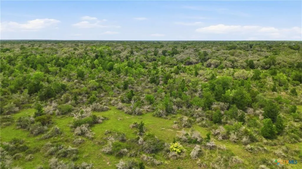 Ranch For Sale in Lavaca County , TBD Fm 530, Hallettsville, Texas 77964, 0, 0, Garage spaces, 0 Sqft, built in 0, Price $2,900,000, mls#21330842, Real Estate Agent in Hallettsville, Homes For Sale in Lavaca county, Homes For Sale in Hallettsville, Realtor in Hallettsville Texas, Real Estate Brokerage Independent Realty Texas, Luminita Cordes Realtor