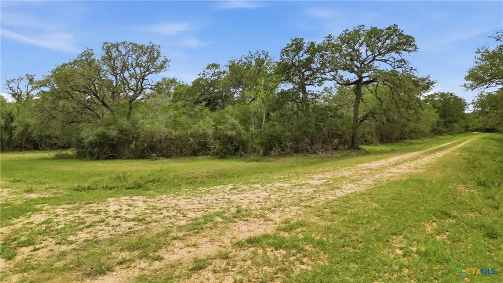Ranch For Sale in Lavaca County , TBD Fm 530, Hallettsville, Texas 77964, 0, 0, Garage spaces, 0 Sqft, built in 0, Price $2,900,000, mls#21330842, Real Estate Agent in Hallettsville, Homes For Sale in Lavaca county, Homes For Sale in Hallettsville, Realtor in Hallettsville Texas, Real Estate Brokerage Independent Realty Texas, Luminita Cordes Realtor