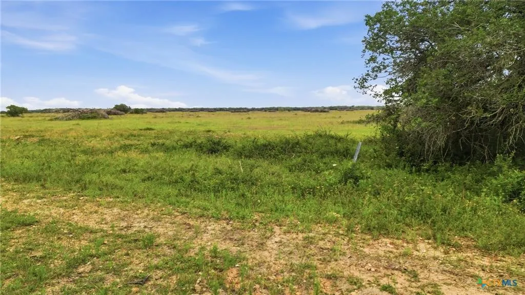 Ranch For Sale in Lavaca County , TBD Fm 530, Hallettsville, Texas 77964, 0, 0, Garage spaces, 0 Sqft, built in 0, Price $2,900,000, mls#21330842, Real Estate Agent in Hallettsville, Homes For Sale in Lavaca county, Homes For Sale in Hallettsville, Realtor in Hallettsville Texas, Real Estate Brokerage Independent Realty Texas, Luminita Cordes Realtor