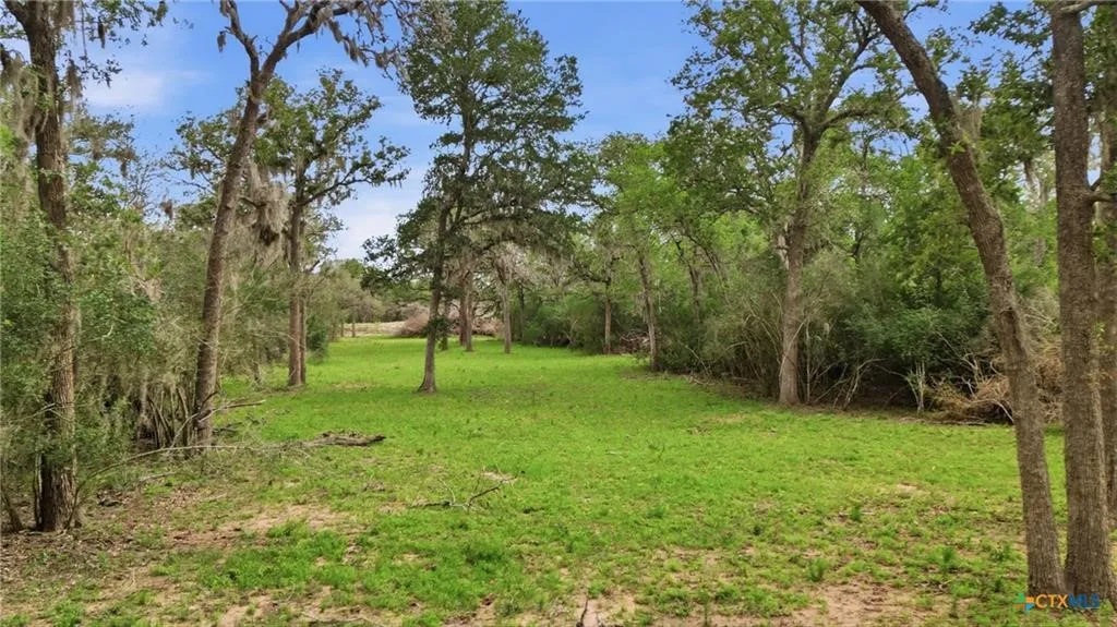 Ranch For Sale in Lavaca County , TBD Fm 530, Hallettsville, Texas 77964, 0, 0, Garage spaces, 0 Sqft, built in 0, Price $2,900,000, mls#21330842, Real Estate Agent in Hallettsville, Homes For Sale in Lavaca county, Homes For Sale in Hallettsville, Realtor in Hallettsville Texas, Real Estate Brokerage Independent Realty Texas, Luminita Cordes Realtor