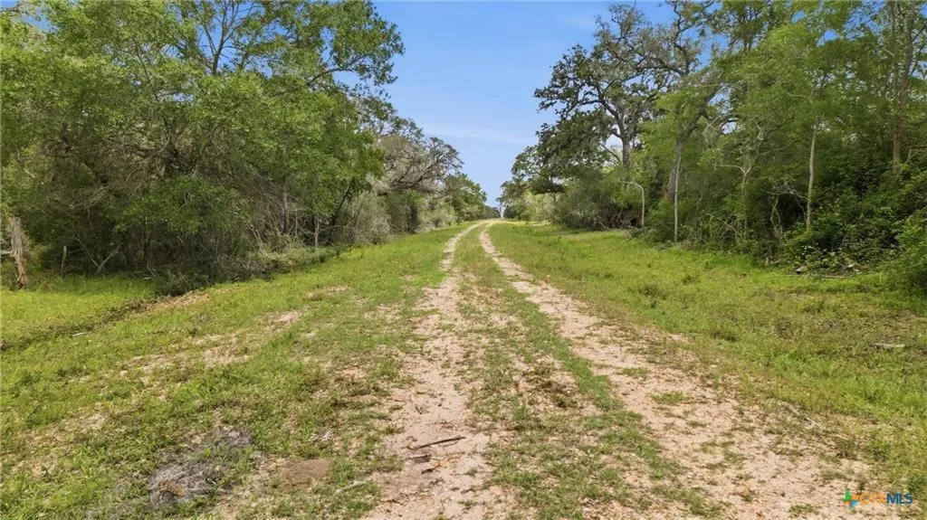 Ranch For Sale in Lavaca County , TBD Fm 530, Hallettsville, Texas 77964, 0, 0, Garage spaces, 0 Sqft, built in 0, Price $2,900,000, mls#21330842, Real Estate Agent in Hallettsville, Homes For Sale in Lavaca county, Homes For Sale in Hallettsville, Realtor in Hallettsville Texas, Real Estate Brokerage Independent Realty Texas, Luminita Cordes Realtor
