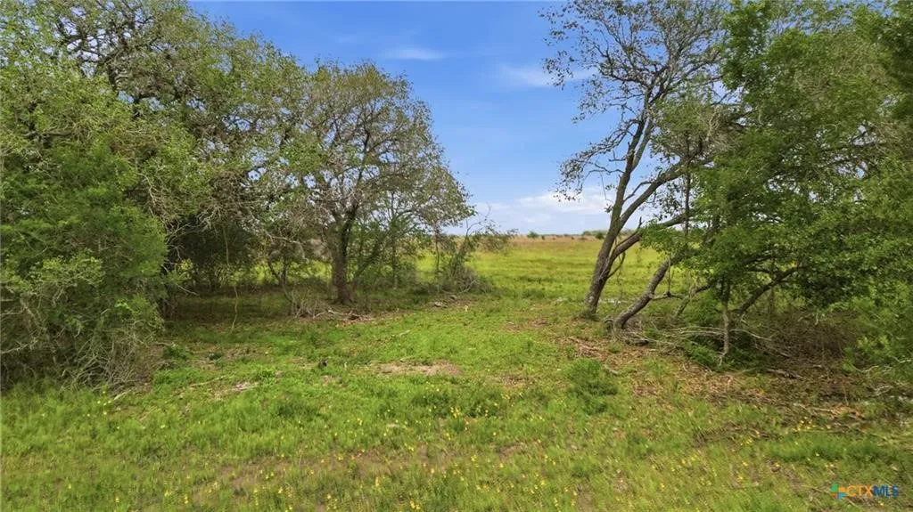Ranch For Sale in Lavaca County , TBD Fm 530, Hallettsville, Texas 77964, 0, 0, Garage spaces, 0 Sqft, built in 0, Price $2,900,000, mls#21330842, Real Estate Agent in Hallettsville, Homes For Sale in Lavaca county, Homes For Sale in Hallettsville, Realtor in Hallettsville Texas, Real Estate Brokerage Independent Realty Texas, Luminita Cordes Realtor
