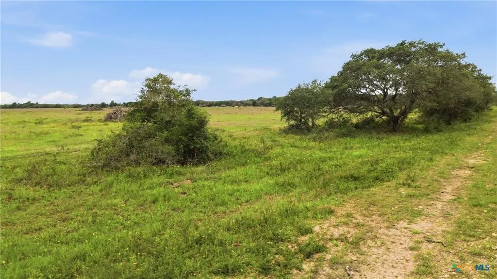 Ranch For Sale in Lavaca County , TBD Fm 530, Hallettsville, Texas 77964, 0, 0, Garage spaces, 0 Sqft, built in 0, Price $2,900,000, mls#21330842, Real Estate Agent in Hallettsville, Homes For Sale in Lavaca county, Homes For Sale in Hallettsville, Realtor in Hallettsville Texas, Real Estate Brokerage Independent Realty Texas, Luminita Cordes Realtor