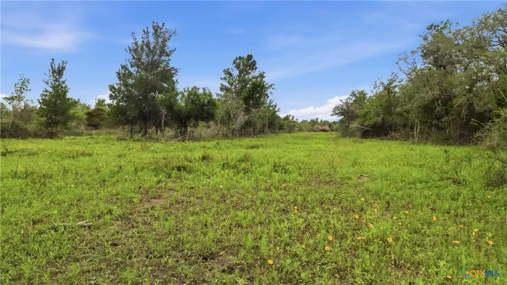 Ranch For Sale in Lavaca County , TBD Fm 530, Hallettsville, Texas 77964, 0, 0, Garage spaces, 0 Sqft, built in 0, Price $2,900,000, mls#21330842, Real Estate Agent in Hallettsville, Homes For Sale in Lavaca county, Homes For Sale in Hallettsville, Realtor in Hallettsville Texas, Real Estate Brokerage Independent Realty Texas, Luminita Cordes Realtor