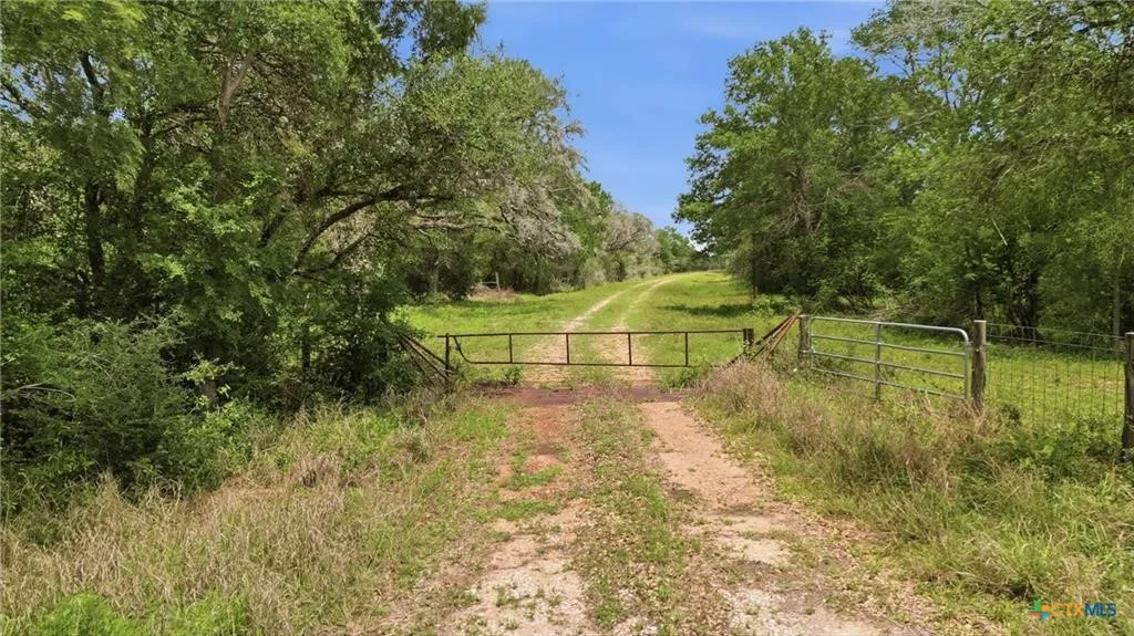 Ranch For Sale in Lavaca County , TBD Fm 530, Hallettsville, Texas 77964, 0, 0, Garage spaces, 0 Sqft, built in 0, Price $2,900,000, mls#21330842, Real Estate Agent in Hallettsville, Homes For Sale in Lavaca county, Homes For Sale in Hallettsville, Realtor in Hallettsville Texas, Real Estate Brokerage Independent Realty Texas, Luminita Cordes Realtor
