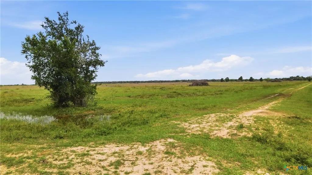 Ranch For Sale in Lavaca County , TBD Fm 530, Hallettsville, Texas 77964, 0, 0, Garage spaces, 0 Sqft, built in 0, Price $2,900,000, mls#21330842, Real Estate Agent in Hallettsville, Homes For Sale in Lavaca county, Homes For Sale in Hallettsville, Realtor in Hallettsville Texas, Real Estate Brokerage Independent Realty Texas, Luminita Cordes Realtor