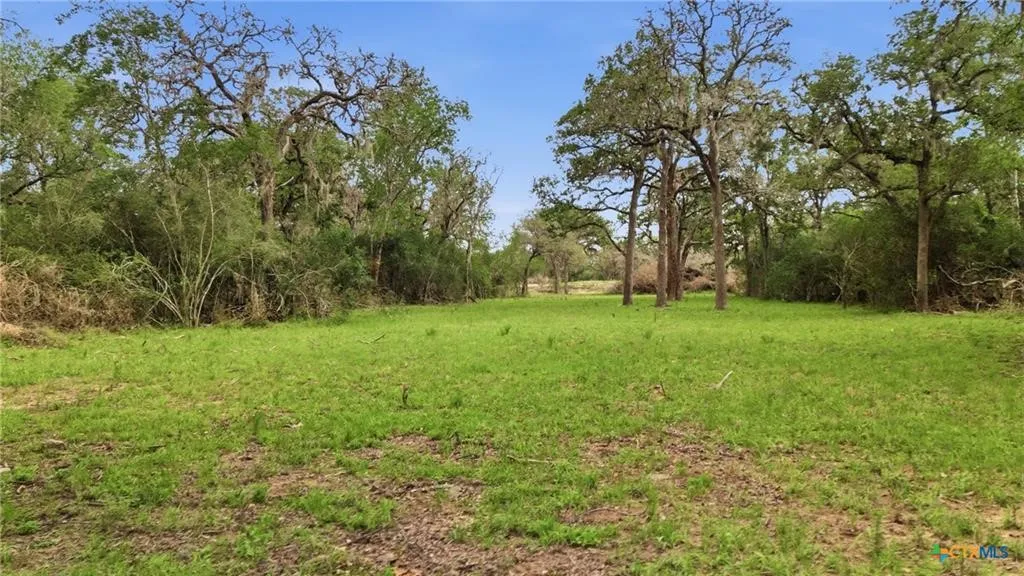 Ranch For Sale in Lavaca County , TBD Fm 530, Hallettsville, Texas 77964, 0, 0, Garage spaces, 0 Sqft, built in 0, Price $2,900,000, mls#21330842, Real Estate Agent in Hallettsville, Homes For Sale in Lavaca county, Homes For Sale in Hallettsville, Realtor in Hallettsville Texas, Real Estate Brokerage Independent Realty Texas, Luminita Cordes Realtor