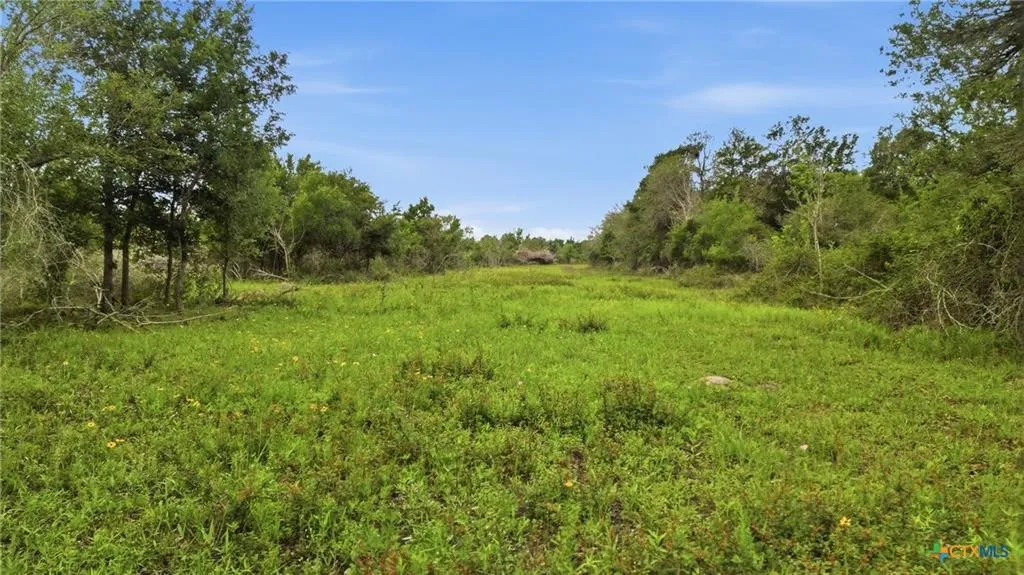 Ranch For Sale in Lavaca County , TBD Fm 530, Hallettsville, Texas 77964, 0, 0, Garage spaces, 0 Sqft, built in 0, Price $2,900,000, mls#21330842, Real Estate Agent in Hallettsville, Homes For Sale in Lavaca county, Homes For Sale in Hallettsville, Realtor in Hallettsville Texas, Real Estate Brokerage Independent Realty Texas, Luminita Cordes Realtor