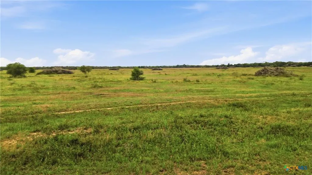 Ranch For Sale in Lavaca County , TBD Fm 530, Hallettsville, Texas 77964, 0, 0, Garage spaces, 0 Sqft, built in 0, Price $2,900,000, mls#21330842, Real Estate Agent in Hallettsville, Homes For Sale in Lavaca county, Homes For Sale in Hallettsville, Realtor in Hallettsville Texas, Real Estate Brokerage Independent Realty Texas, Luminita Cordes Realtor