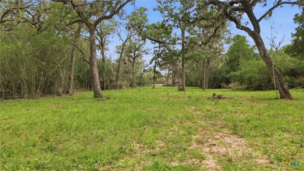 Ranch For Sale in Lavaca County , TBD Fm 530, Hallettsville, Texas 77964, 0, 0, Garage spaces, 0 Sqft, built in 0, Price $2,900,000, mls#21330842, Real Estate Agent in Hallettsville, Homes For Sale in Lavaca county, Homes For Sale in Hallettsville, Realtor in Hallettsville Texas, Real Estate Brokerage Independent Realty Texas, Luminita Cordes Realtor