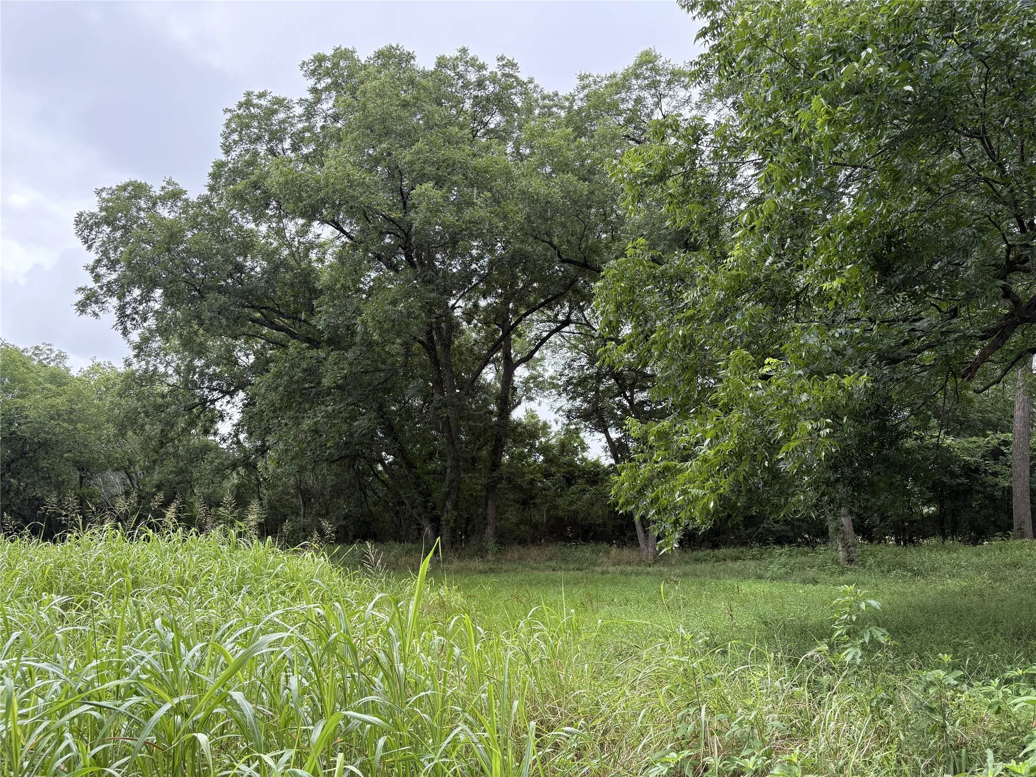Unimproved Land For Sale in Navarro County , TBD W State Hwy 31, Purdon, Texas 76679, 0, 0, Garage spaces, 0 Sqft, built in 2000, Price $165,640, mls#21325669, Real Estate Agent in Purdon, Homes For Sale in Navarro county, Homes For Sale in Purdon, Realtor in Purdon Texas, Real Estate Brokerage Independent Realty Texas, Luminita Cordes Realtor