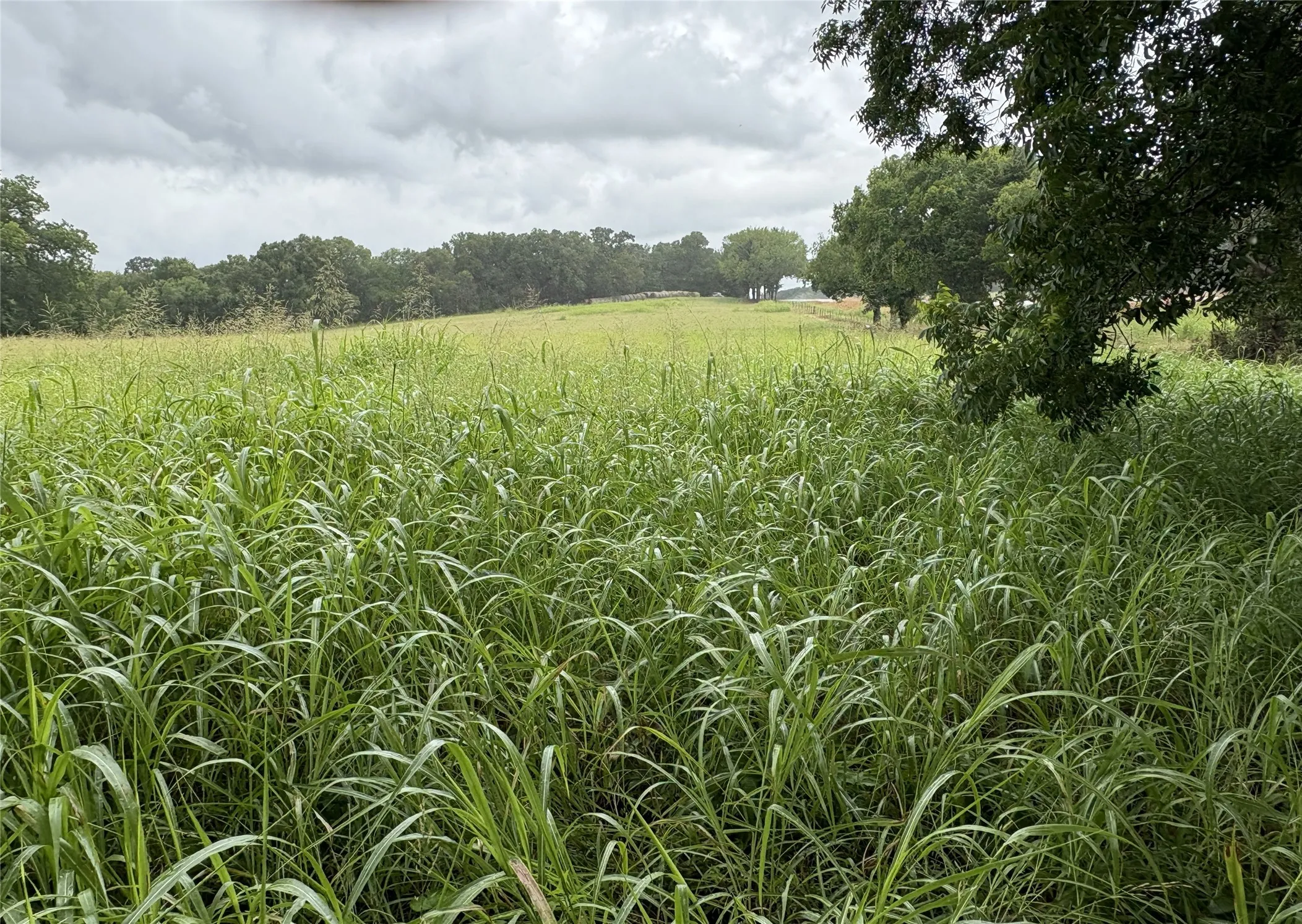 View of Property from East along Post Oak Creek looking westward
