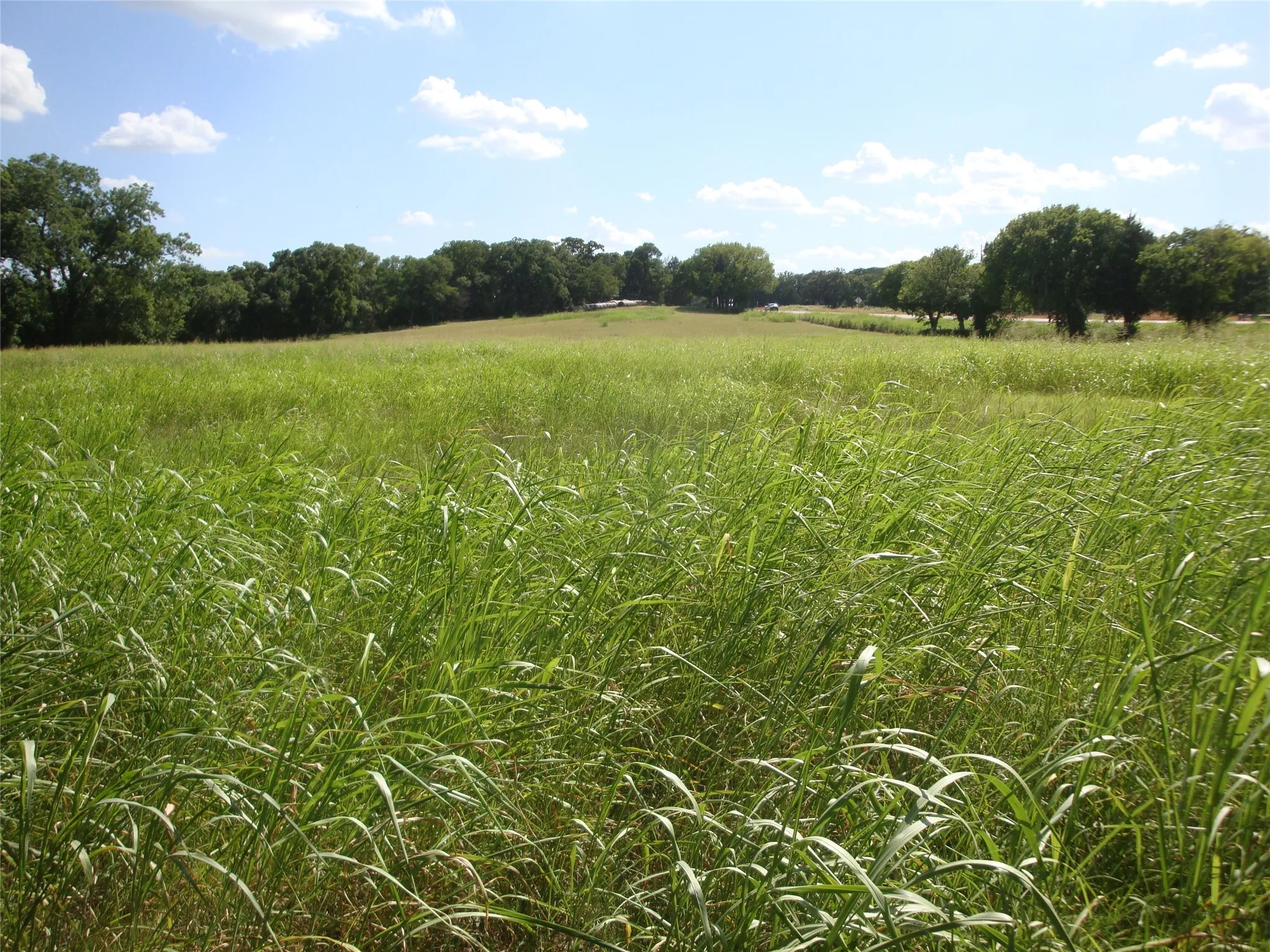 Unimproved Land For Sale in Navarro County , TBD W State Hwy 31, Purdon, Texas 76679, 0, 0, Garage spaces, 0 Sqft, built in 2000, Price $165,640, mls#21325669, Real Estate Agent in Purdon, Homes For Sale in Navarro county, Homes For Sale in Purdon, Realtor in Purdon Texas, Real Estate Brokerage Independent Realty Texas, Luminita Cordes Realtor