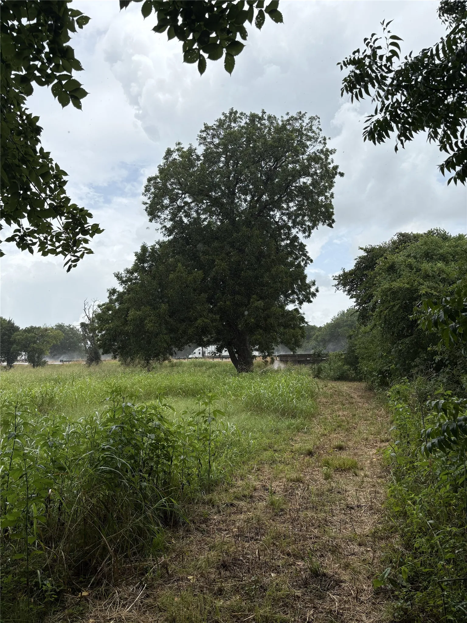 Unimproved Land For Sale in Navarro County , TBD W State Hwy 31, Purdon, Texas 76679, 0, 0, Garage spaces, 0 Sqft, built in 2000, Price $165,640, mls#21325669, Real Estate Agent in Purdon, Homes For Sale in Navarro county, Homes For Sale in Purdon, Realtor in Purdon Texas, Real Estate Brokerage Independent Realty Texas, Luminita Cordes Realtor