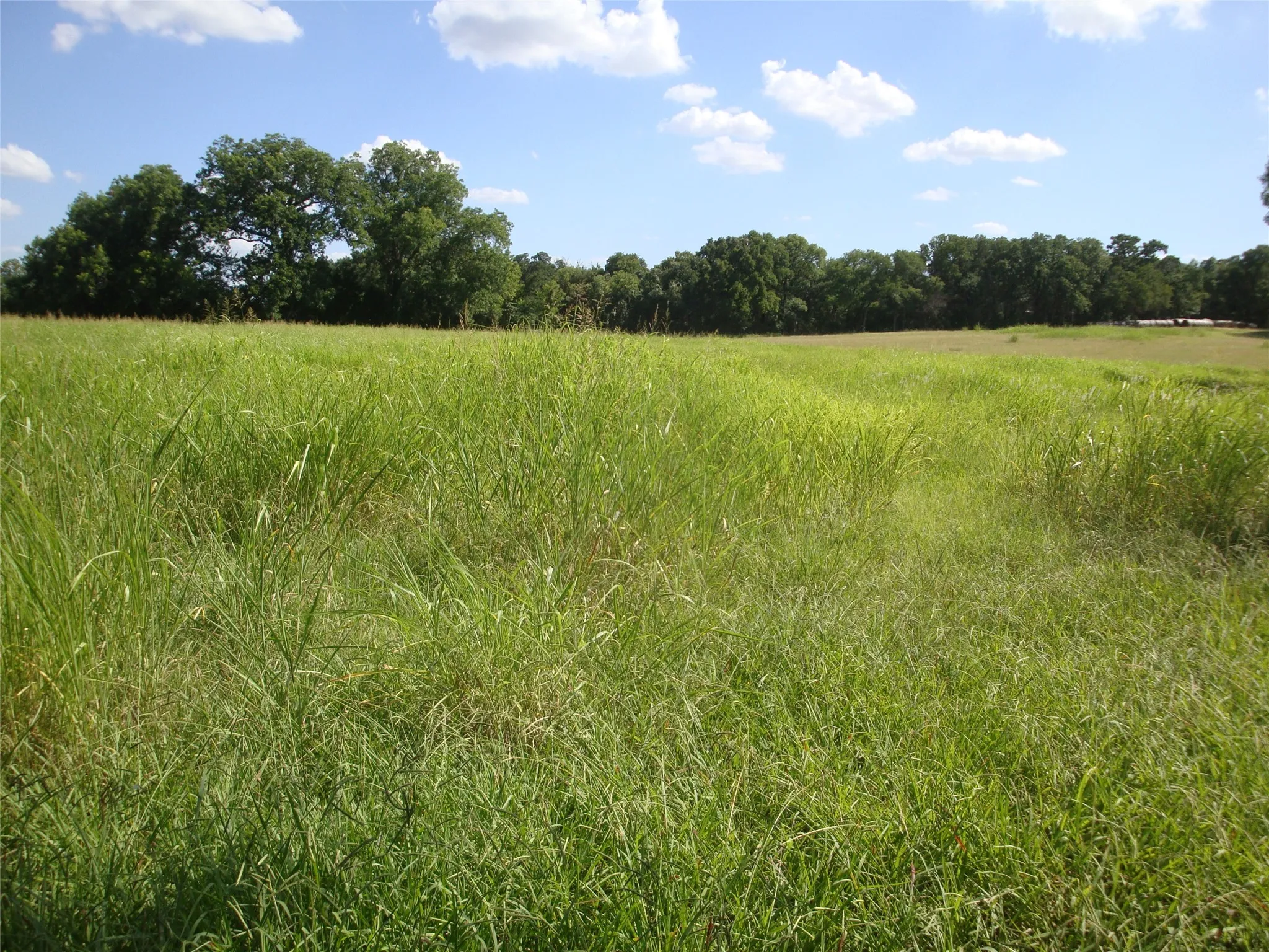 Unimproved Land For Sale in Navarro County , TBD W State Hwy 31, Purdon, Texas 76679, 0, 0, Garage spaces, 0 Sqft, built in 2000, Price $165,640, mls#21325669, Real Estate Agent in Purdon, Homes For Sale in Navarro county, Homes For Sale in Purdon, Realtor in Purdon Texas, Real Estate Brokerage Independent Realty Texas, Luminita Cordes Realtor