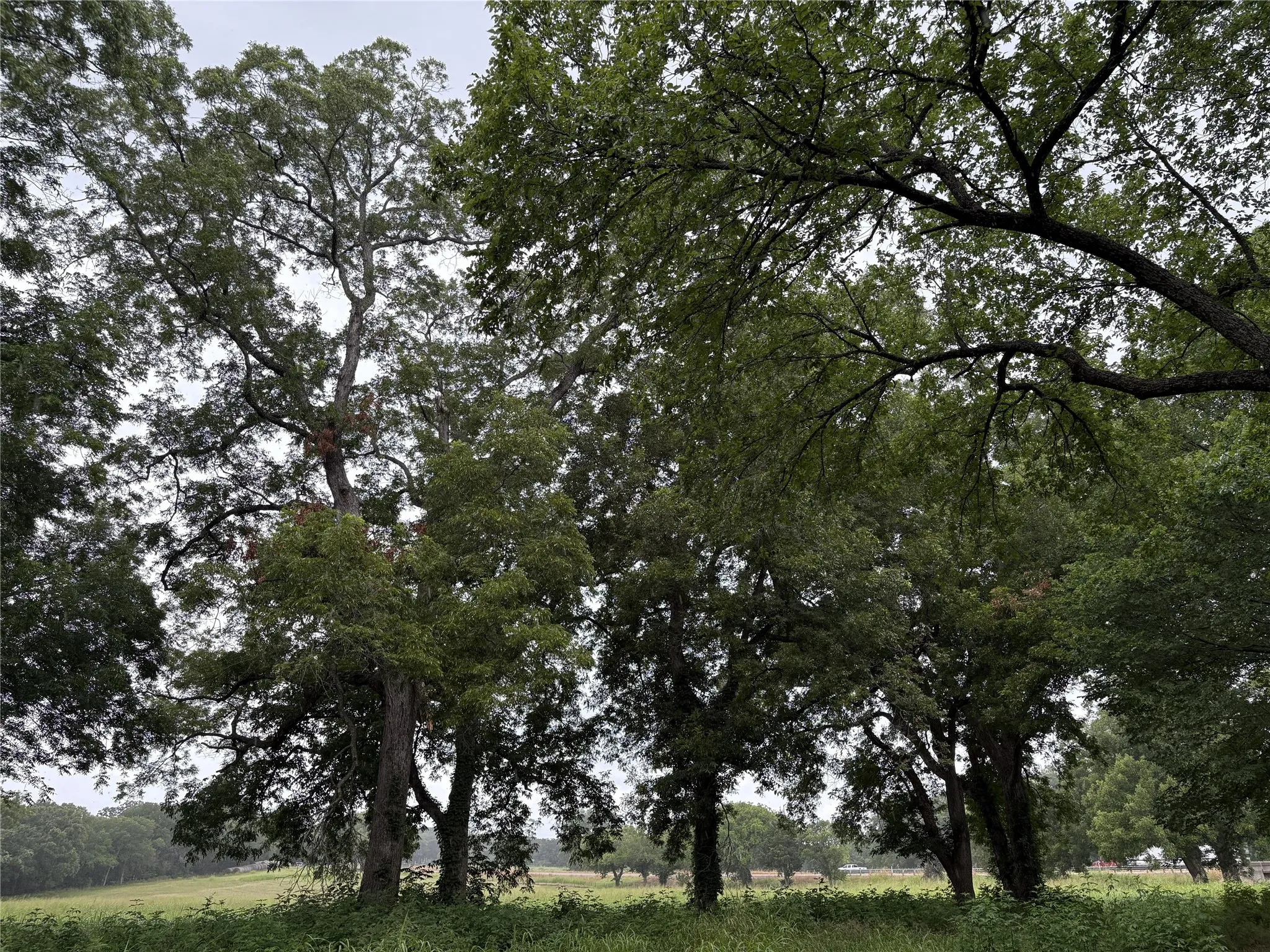 Unimproved Land For Sale in Navarro County , TBD W State Hwy 31, Purdon, Texas 76679, 0, 0, Garage spaces, 0 Sqft, built in 2000, Price $165,640, mls#21325669, Real Estate Agent in Purdon, Homes For Sale in Navarro county, Homes For Sale in Purdon, Realtor in Purdon Texas, Real Estate Brokerage Independent Realty Texas, Luminita Cordes Realtor