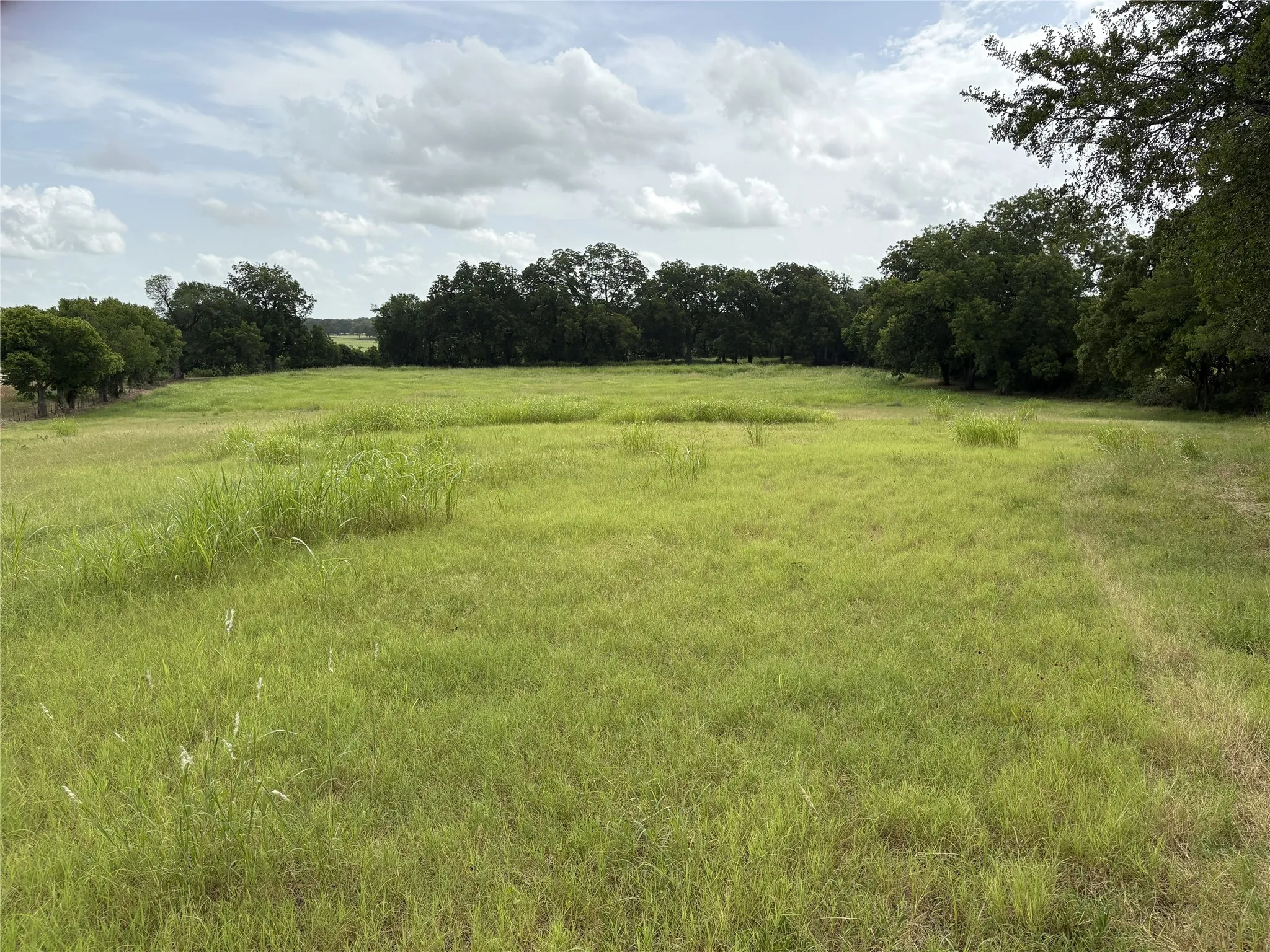 Unimproved Land For Sale in Navarro County , TBD W State Hwy 31, Purdon, Texas 76679, 0, 0, Garage spaces, 0 Sqft, built in 2000, Price $165,640, mls#21325669, Real Estate Agent in Purdon, Homes For Sale in Navarro county, Homes For Sale in Purdon, Realtor in Purdon Texas, Real Estate Brokerage Independent Realty Texas, Luminita Cordes Realtor
