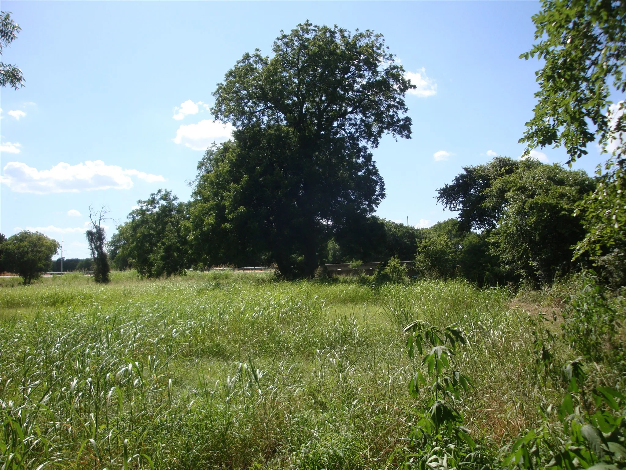 Unimproved Land For Sale in Navarro County , TBD W State Hwy 31, Purdon, Texas 76679, 0, 0, Garage spaces, 0 Sqft, built in 2000, Price $165,640, mls#21325669, Real Estate Agent in Purdon, Homes For Sale in Navarro county, Homes For Sale in Purdon, Realtor in Purdon Texas, Real Estate Brokerage Independent Realty Texas, Luminita Cordes Realtor