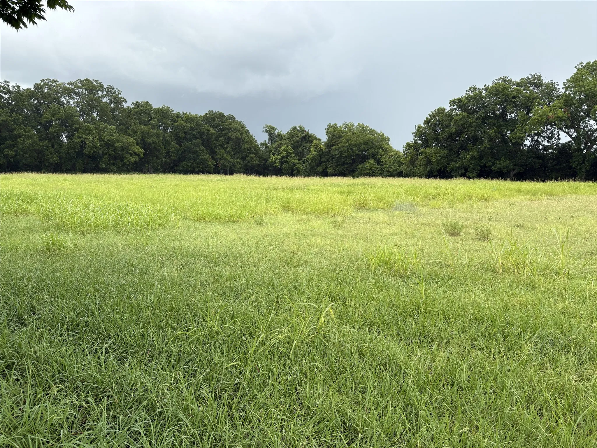 View of bottomland