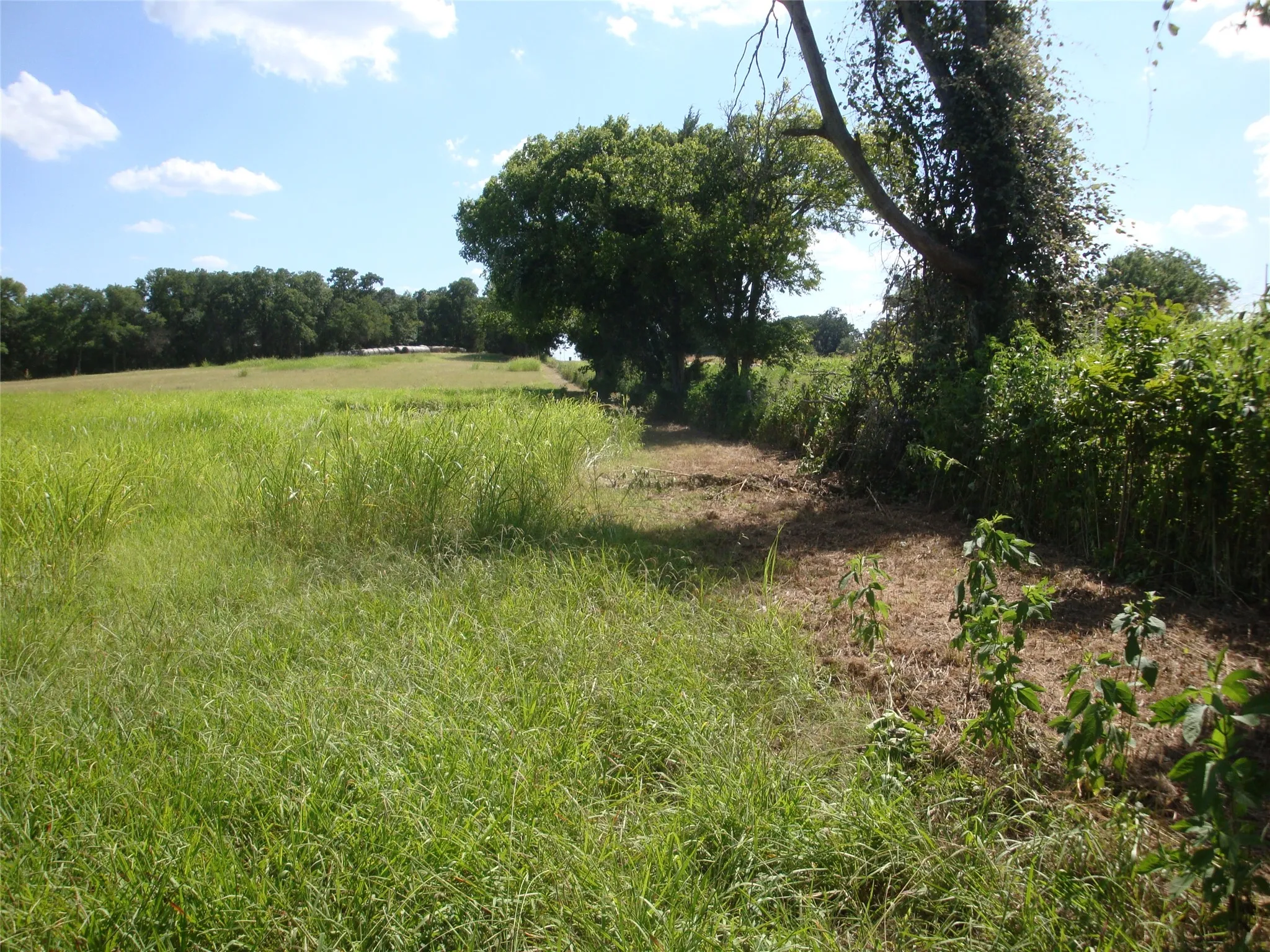 Unimproved Land For Sale in Navarro County , TBD W State Hwy 31, Purdon, Texas 76679, 0, 0, Garage spaces, 0 Sqft, built in 2000, Price $165,640, mls#21325669, Real Estate Agent in Purdon, Homes For Sale in Navarro county, Homes For Sale in Purdon, Realtor in Purdon Texas, Real Estate Brokerage Independent Realty Texas, Luminita Cordes Realtor