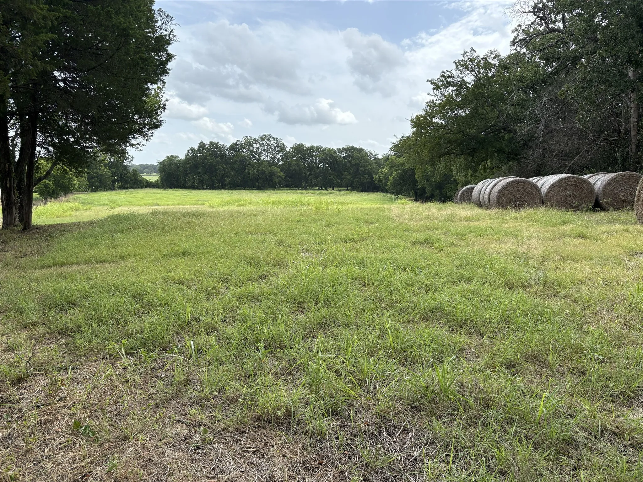 Potential Building Site