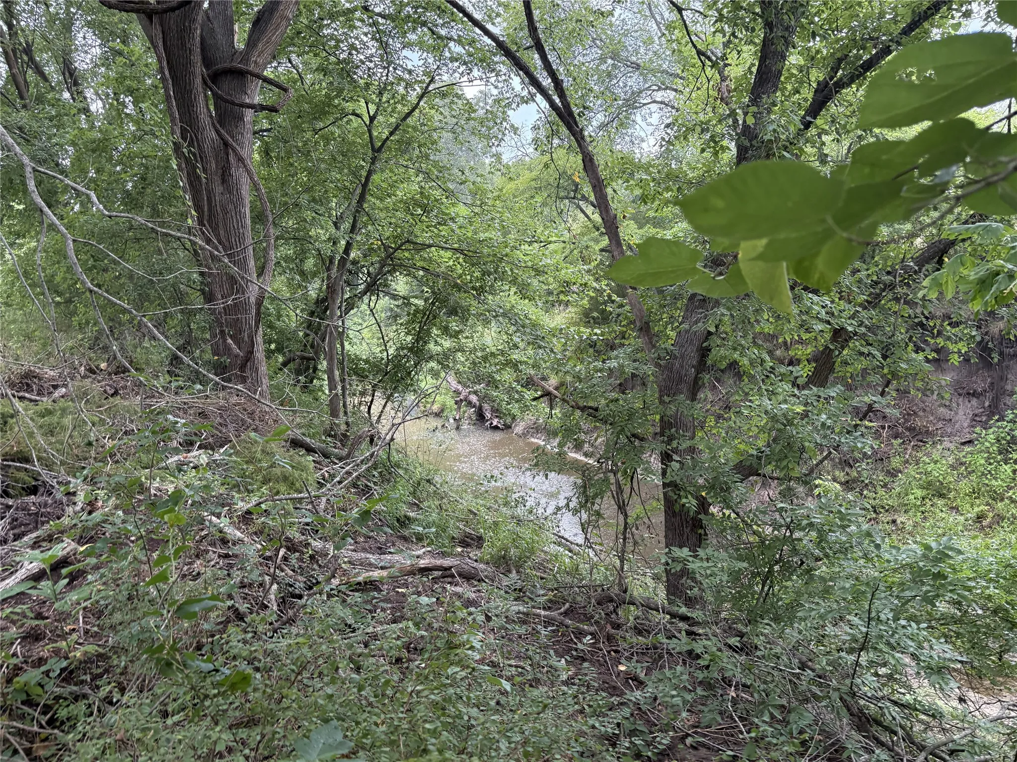View of Post Oak Creek