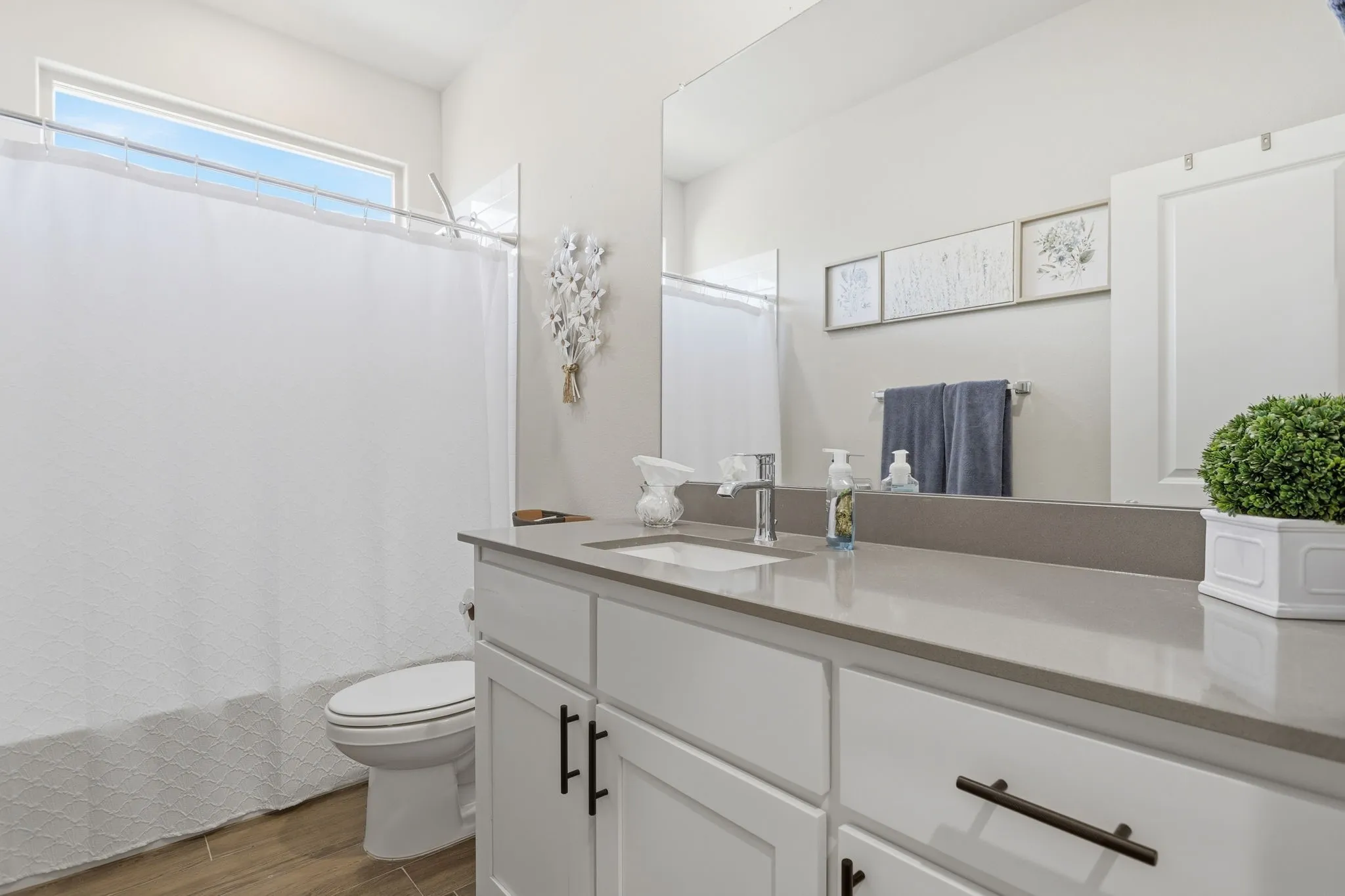Lots of storage in hall bathroom.