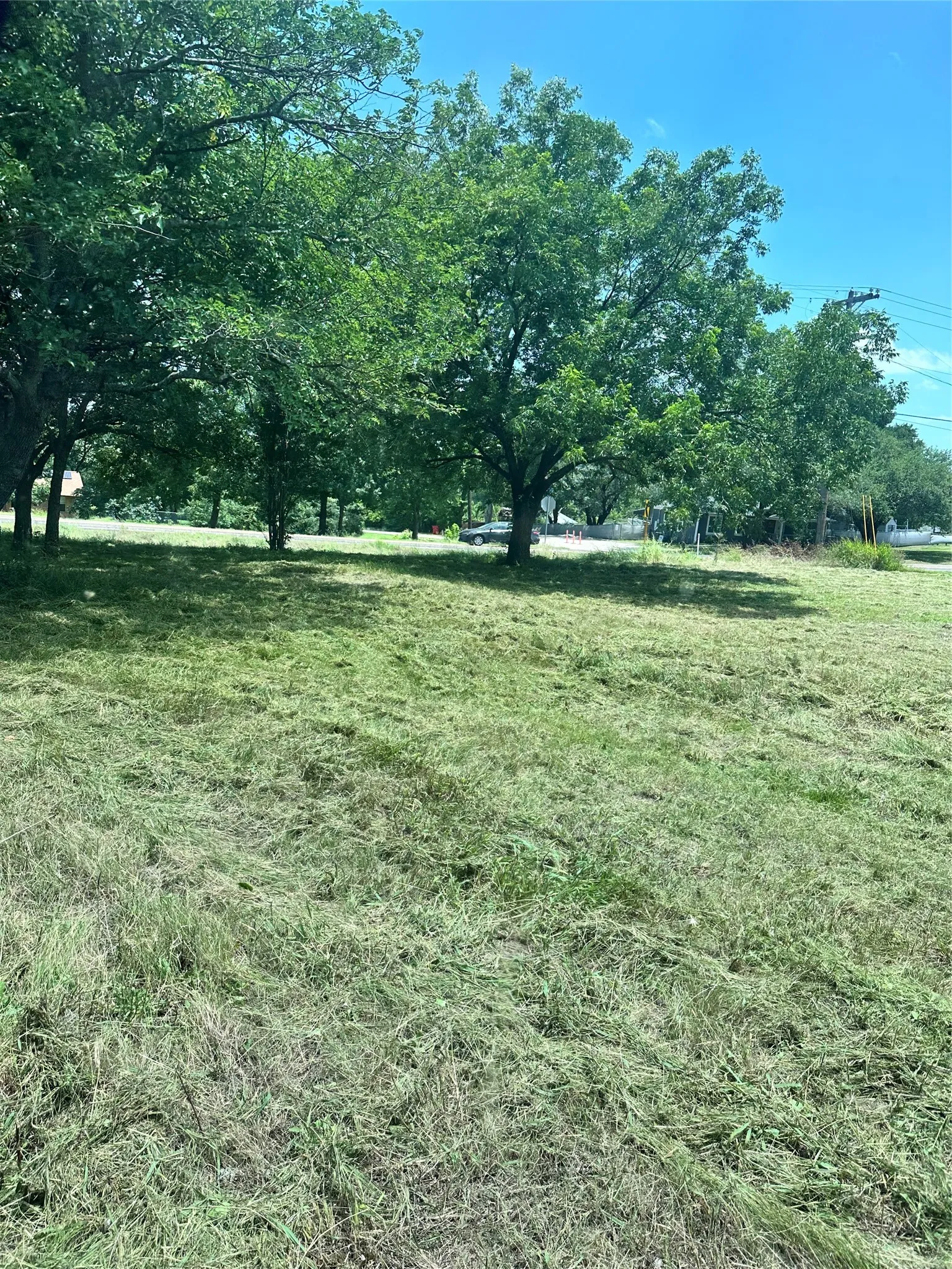 Expansive lot featuring mature trees and a manicured lawn