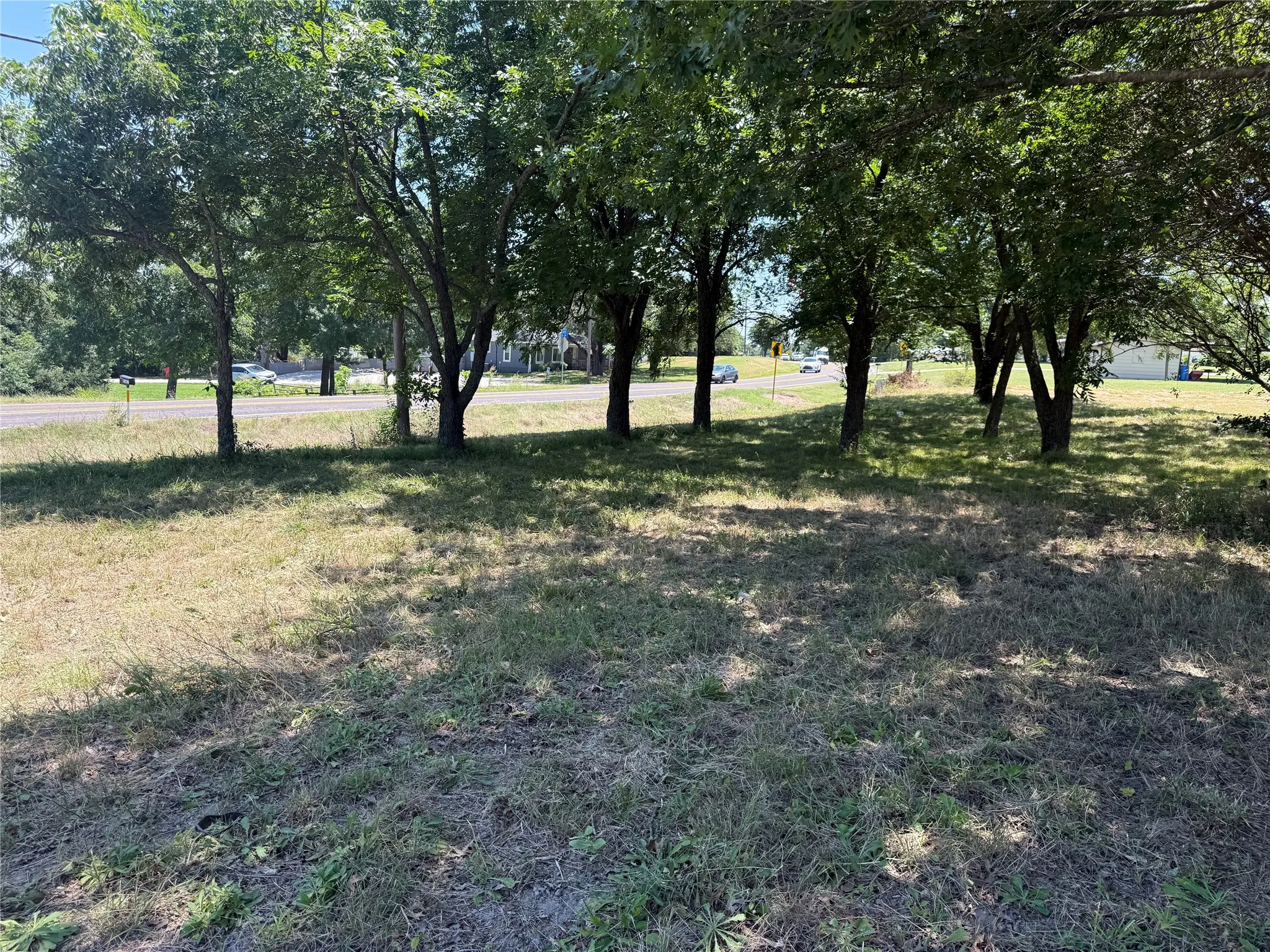 Mature trees providing natural shade over a grassy area