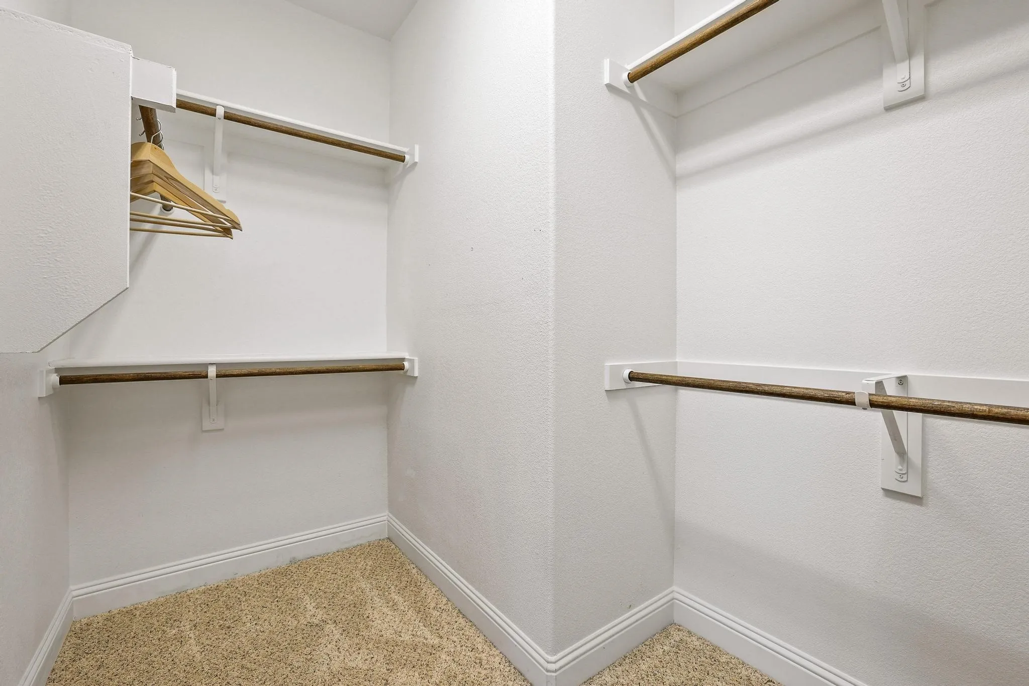 Walk-in closet featuring white painted walls and trim, wood-finish hanging rods, white shelving, and a neutral-toned carpet
