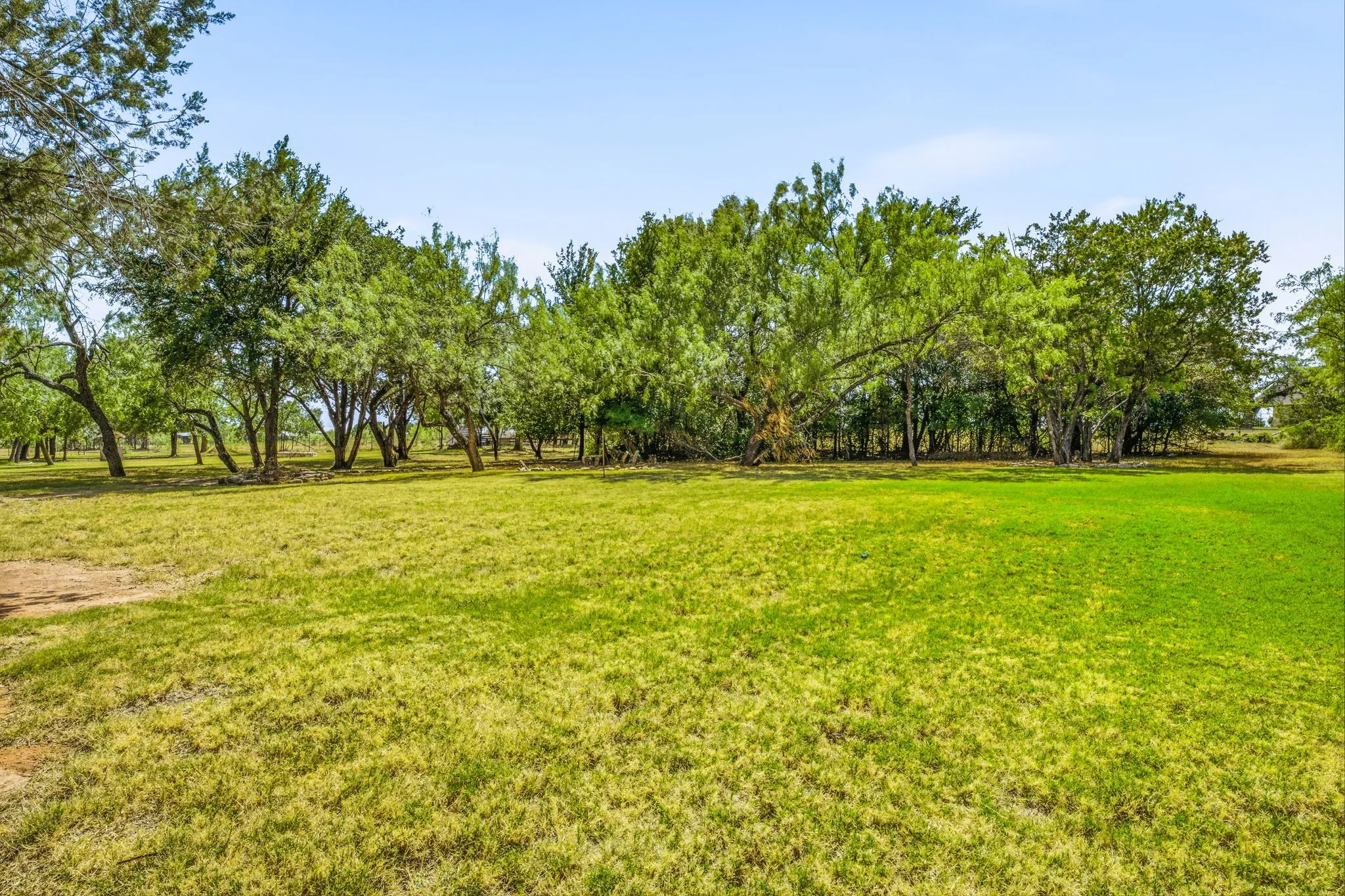 Expansive green lawn surrounded by mature trees