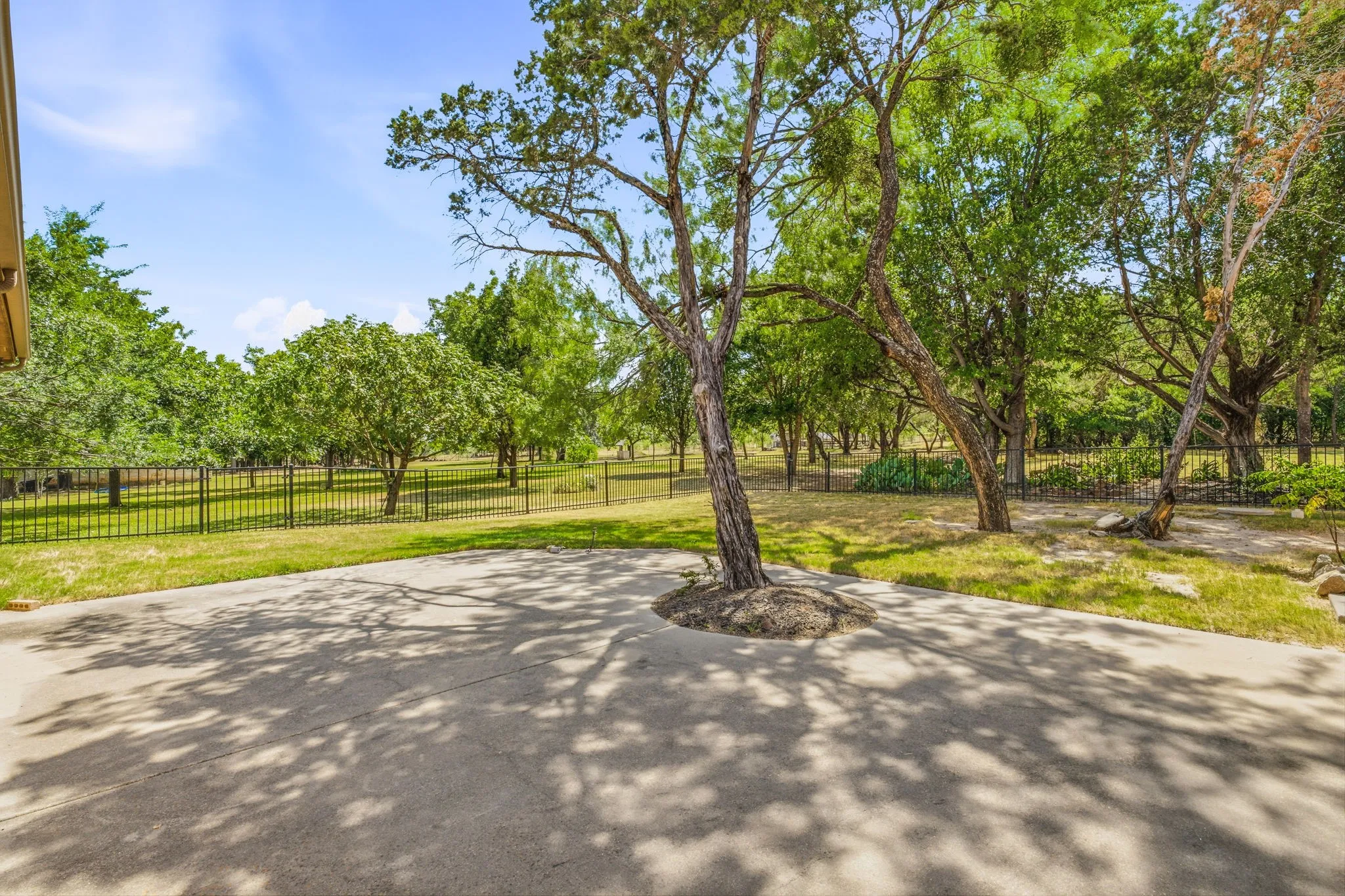 Spacious concrete patio surrounded by mature trees, a manicured lawn, and a black metal fence