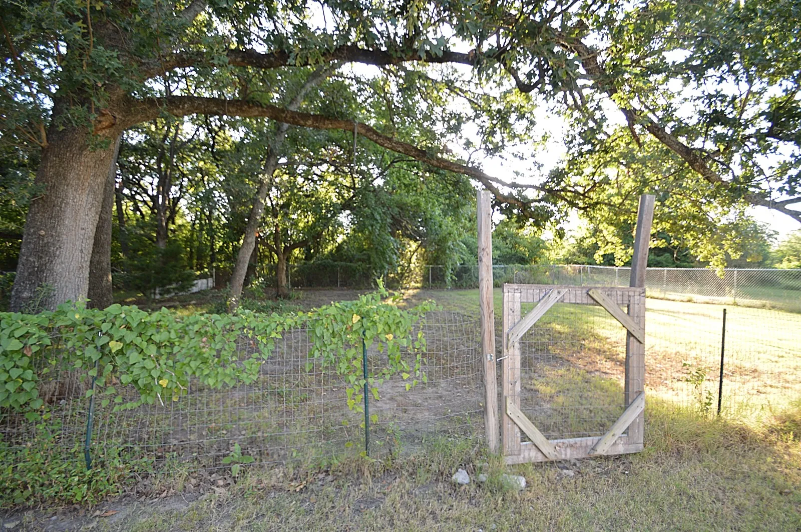 Single Family Residence For Rent in Hunt County , 201 Kirk Lane, West Tawakoni, Texas 75474, 3 Bedroom, 1 Bathroom, Garage spaces, 1,210 Sqft, built in 1985, mls#21331931, Real Estate Agent in West Tawakoni, Homes For Rent in Hunt county, Homes For Rent in West Tawakoni, Realtor in West Tawakoni Texas, Real Estate Brokerage Independent Realty Texas, Luminita Cordes Realtor