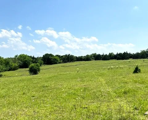 Improved Land For Sale in Collin County , TBD CR 663, Farmersville, Texas 75442, 0, 0, Garage spaces, 0 Sqft, built in 0, Price $1,851,300, mls#21331964, Real Estate Agent in Farmersville, Homes For Sale in Collin county, Homes For Sale in Farmersville, Realtor in Farmersville Texas, Real Estate Brokerage Independent Realty Texas, Luminita Cordes Realtor