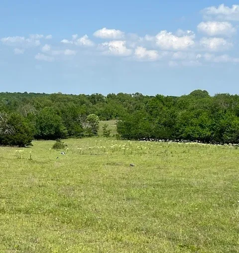 Improved Land For Sale in Collin County , TBD CR 663, Farmersville, Texas 75442, 0, 0, Garage spaces, 0 Sqft, built in 0, Price $1,851,300, mls#21331964, Real Estate Agent in Farmersville, Homes For Sale in Collin county, Homes For Sale in Farmersville, Realtor in Farmersville Texas, Real Estate Brokerage Independent Realty Texas, Luminita Cordes Realtor