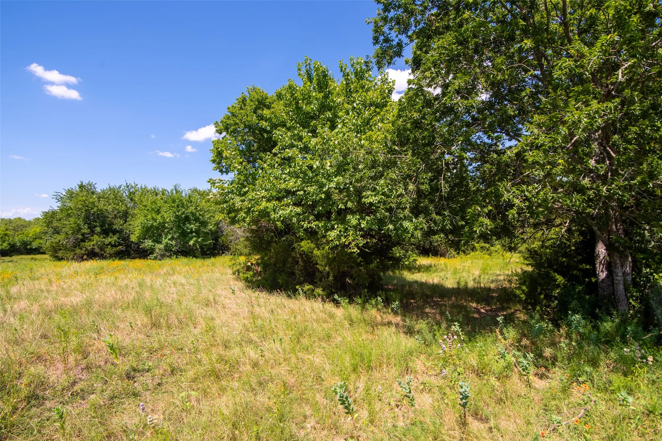Improved Land For Sale in Collin County , TBD CR 663, Farmersville, Texas 75442, 0, 0, Garage spaces, 0 Sqft, built in 0, Price $1,851,300, mls#21331964, Real Estate Agent in Farmersville, Homes For Sale in Collin county, Homes For Sale in Farmersville, Realtor in Farmersville Texas, Real Estate Brokerage Independent Realty Texas, Luminita Cordes Realtor