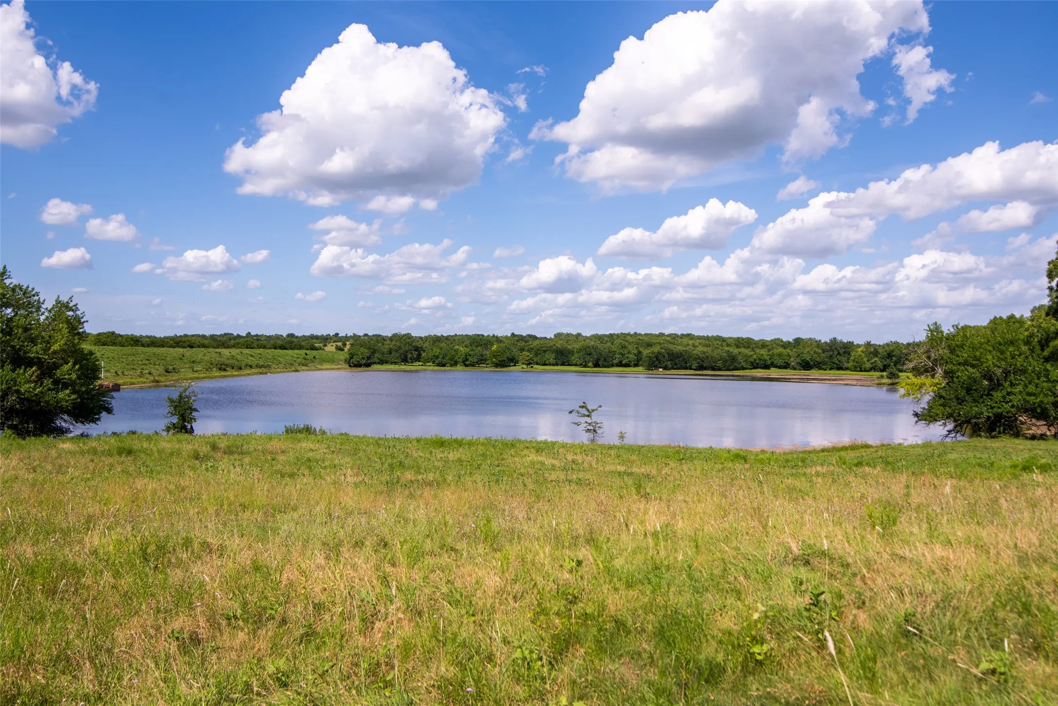 Improved Land For Sale in Collin County , TBD CR 663, Farmersville, Texas 75442, 0, 0, Garage spaces, 0 Sqft, built in 0, Price $1,851,300, mls#21331964, Real Estate Agent in Farmersville, Homes For Sale in Collin county, Homes For Sale in Farmersville, Realtor in Farmersville Texas, Real Estate Brokerage Independent Realty Texas, Luminita Cordes Realtor