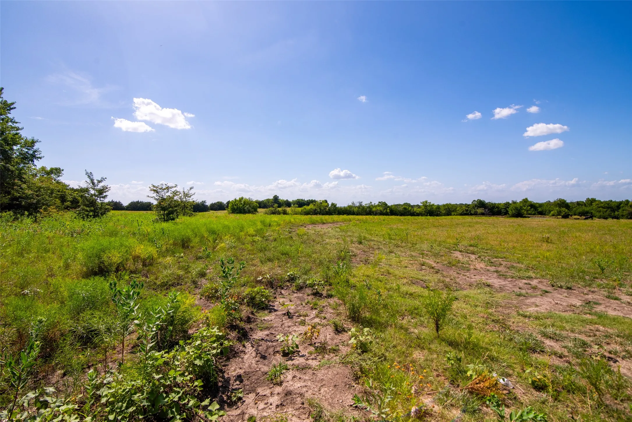 Improved Land For Sale in Collin County , TBD CR 663, Farmersville, Texas 75442, 0, 0, Garage spaces, 0 Sqft, built in 0, Price $1,851,300, mls#21331964, Real Estate Agent in Farmersville, Homes For Sale in Collin county, Homes For Sale in Farmersville, Realtor in Farmersville Texas, Real Estate Brokerage Independent Realty Texas, Luminita Cordes Realtor