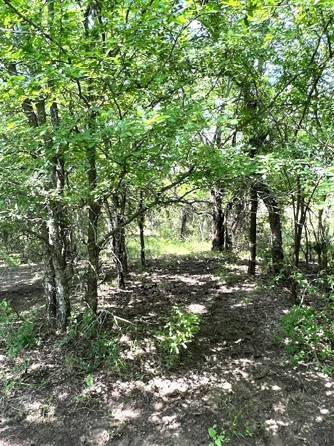 Improved Land For Sale in Collin County , TBD CR 663, Farmersville, Texas 75442, 0, 0, Garage spaces, 0 Sqft, built in 0, Price $1,851,300, mls#21331964, Real Estate Agent in Farmersville, Homes For Sale in Collin county, Homes For Sale in Farmersville, Realtor in Farmersville Texas, Real Estate Brokerage Independent Realty Texas, Luminita Cordes Realtor