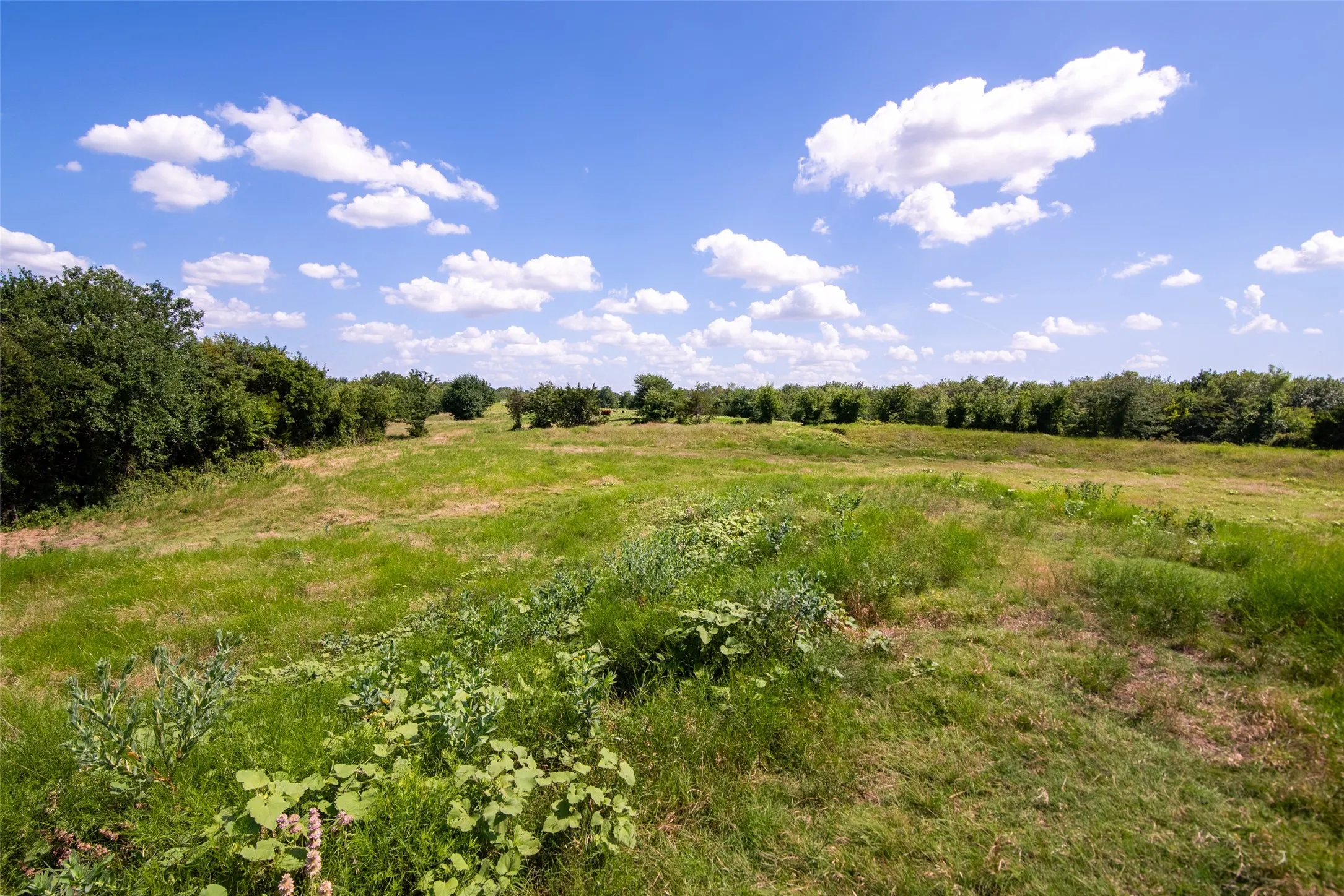Improved Land For Sale in Collin County , TBD CR 663, Farmersville, Texas 75442, 0, 0, Garage spaces, 0 Sqft, built in 0, Price $1,851,300, mls#21331964, Real Estate Agent in Farmersville, Homes For Sale in Collin county, Homes For Sale in Farmersville, Realtor in Farmersville Texas, Real Estate Brokerage Independent Realty Texas, Luminita Cordes Realtor